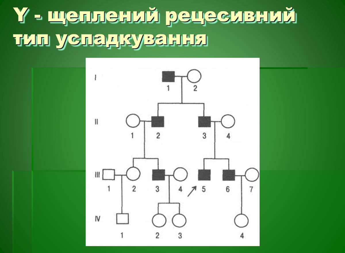 Презентація на тему «Основи медичної генетики» - Слайд #9 Презентація на тему «Основи медичної генетики» - Слайд #9