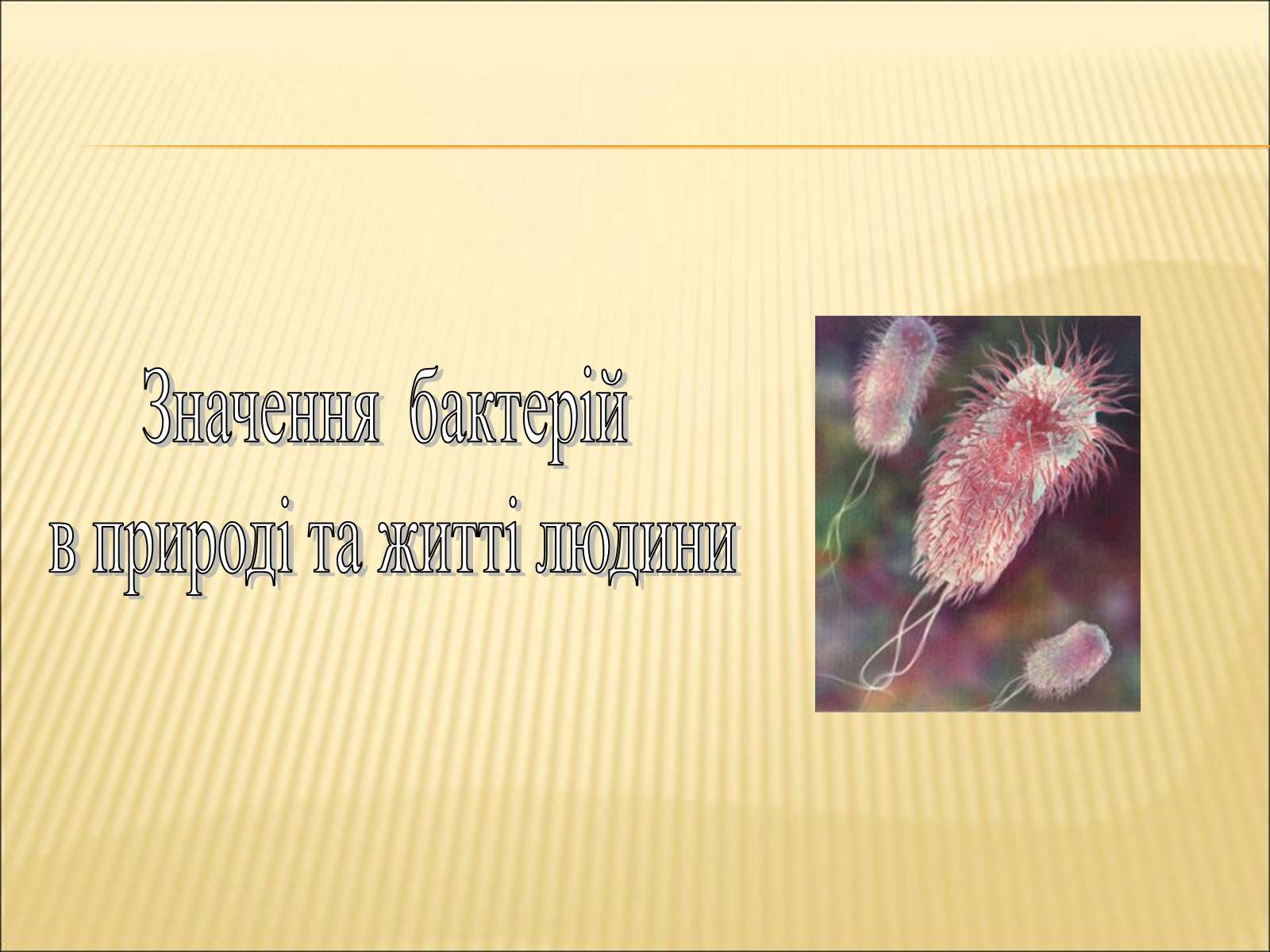 Презентація на тему «Значення бактерій в природі та житті людини» - Слайд #1 Презентація на тему «Значення бактерій в природі та житті людини» - Слайд #1
