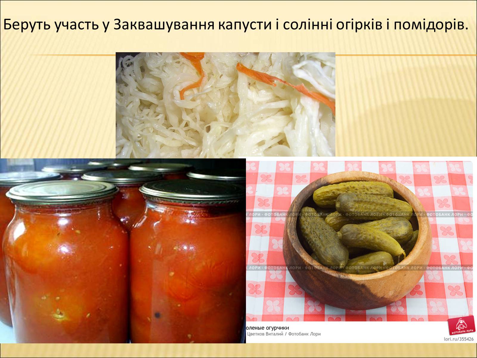 Презентація на тему «Значення бактерій в природі та житті людини» - Слайд #20 Презентація на тему «Значення бактерій в природі та житті людини» - Слайд #20