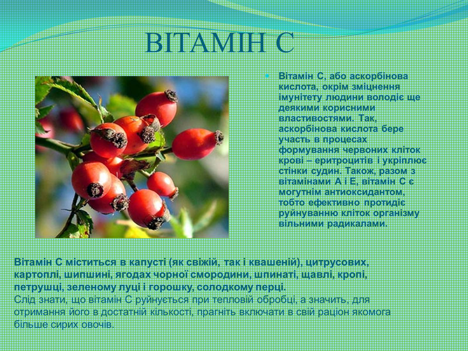 Презентація на тему «Вітаміни і їх роль в житті людини» (варіант 6) - Слайд #7 Презентація на тему «Вітаміни і їх роль в житті людини» (варіант 6) - Слайд #7