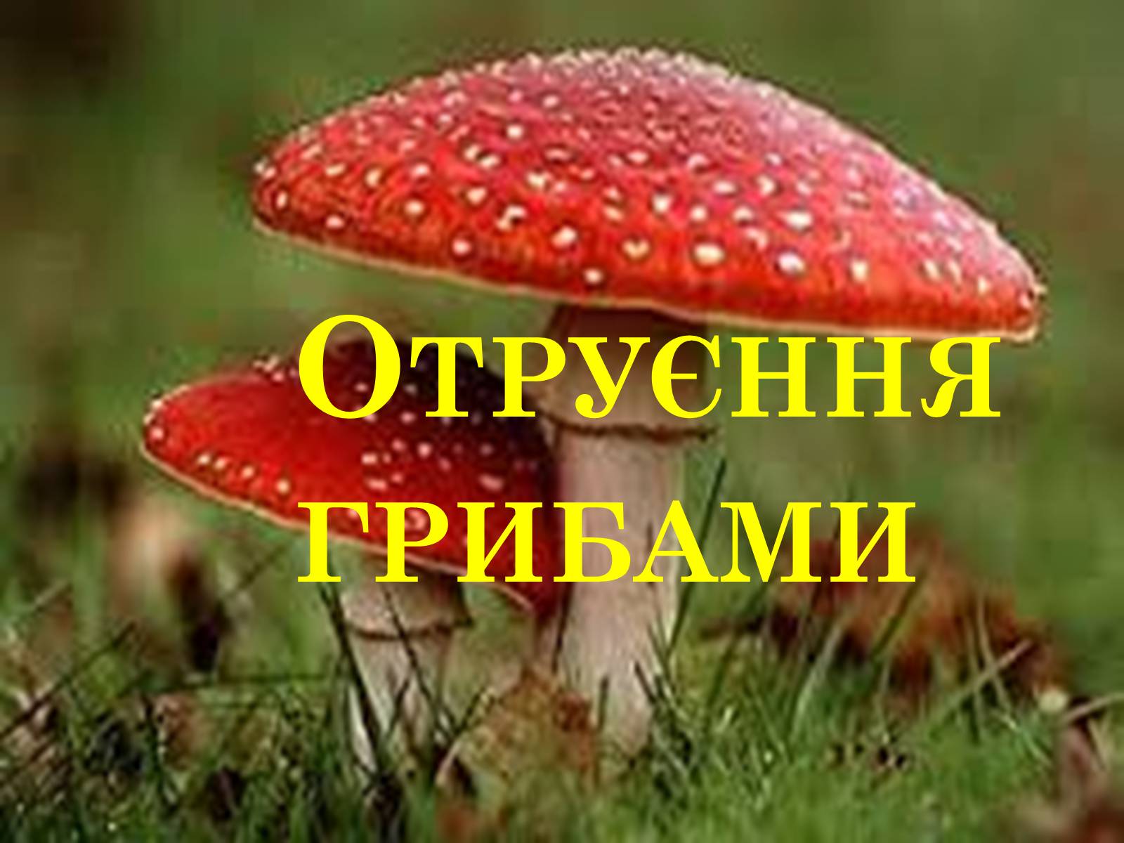 Презентація на тему «Отруєння грибами» - Слайд #1 Презентація на тему «Отруєння грибами» - Слайд #1