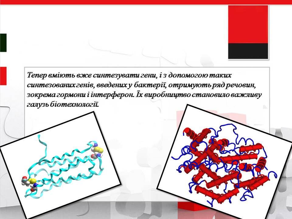 Презентація на тему «Генна інженерія» (варіант 11) - Слайд #10 Презентація на тему «Генна інженерія» (варіант 11) - Слайд #10