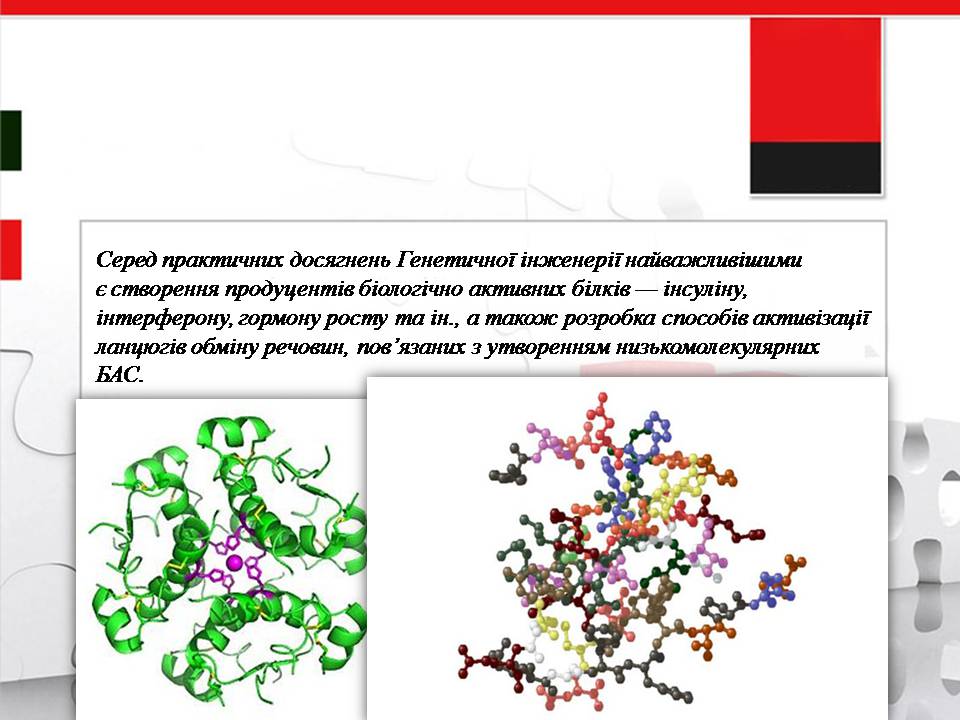 Презентація на тему «Генна інженерія» (варіант 11) - Слайд #13 Презентація на тему «Генна інженерія» (варіант 11) - Слайд #13