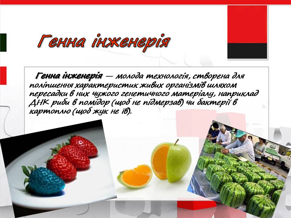 Презентація на тему «Генна інженерія» (варіант 11) - Слайд #3 Презентація на тему «Генна інженерія» (варіант 11) - Слайд #3