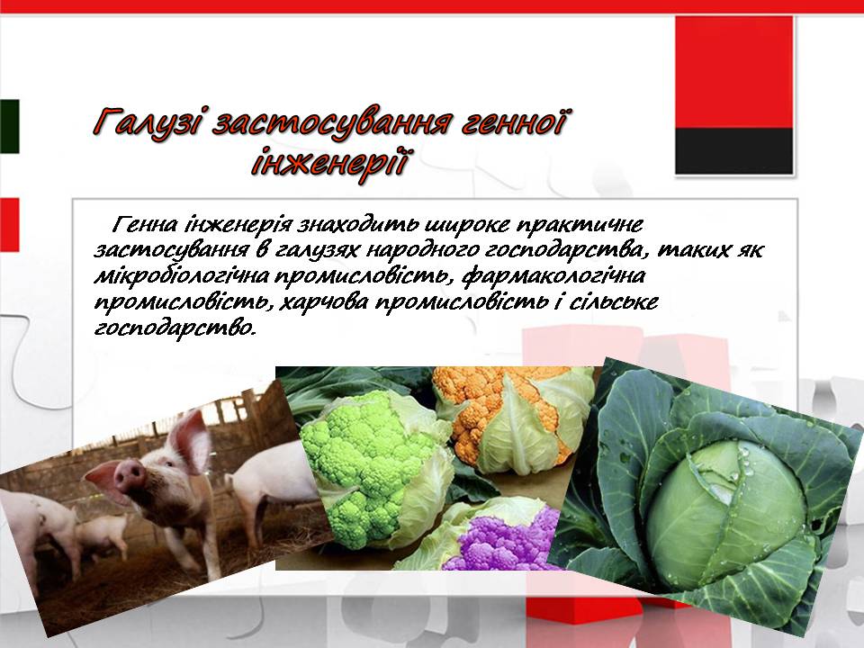 Презентація на тему «Генна інженерія» (варіант 11) - Слайд #4 Презентація на тему «Генна інженерія» (варіант 11) - Слайд #4