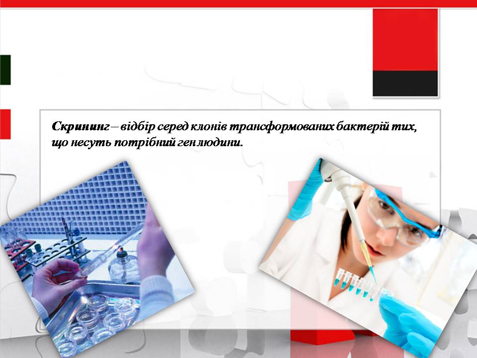 Презентація на тему «Генна інженерія» (варіант 11) - Слайд #8 Презентація на тему «Генна інженерія» (варіант 11) - Слайд #8