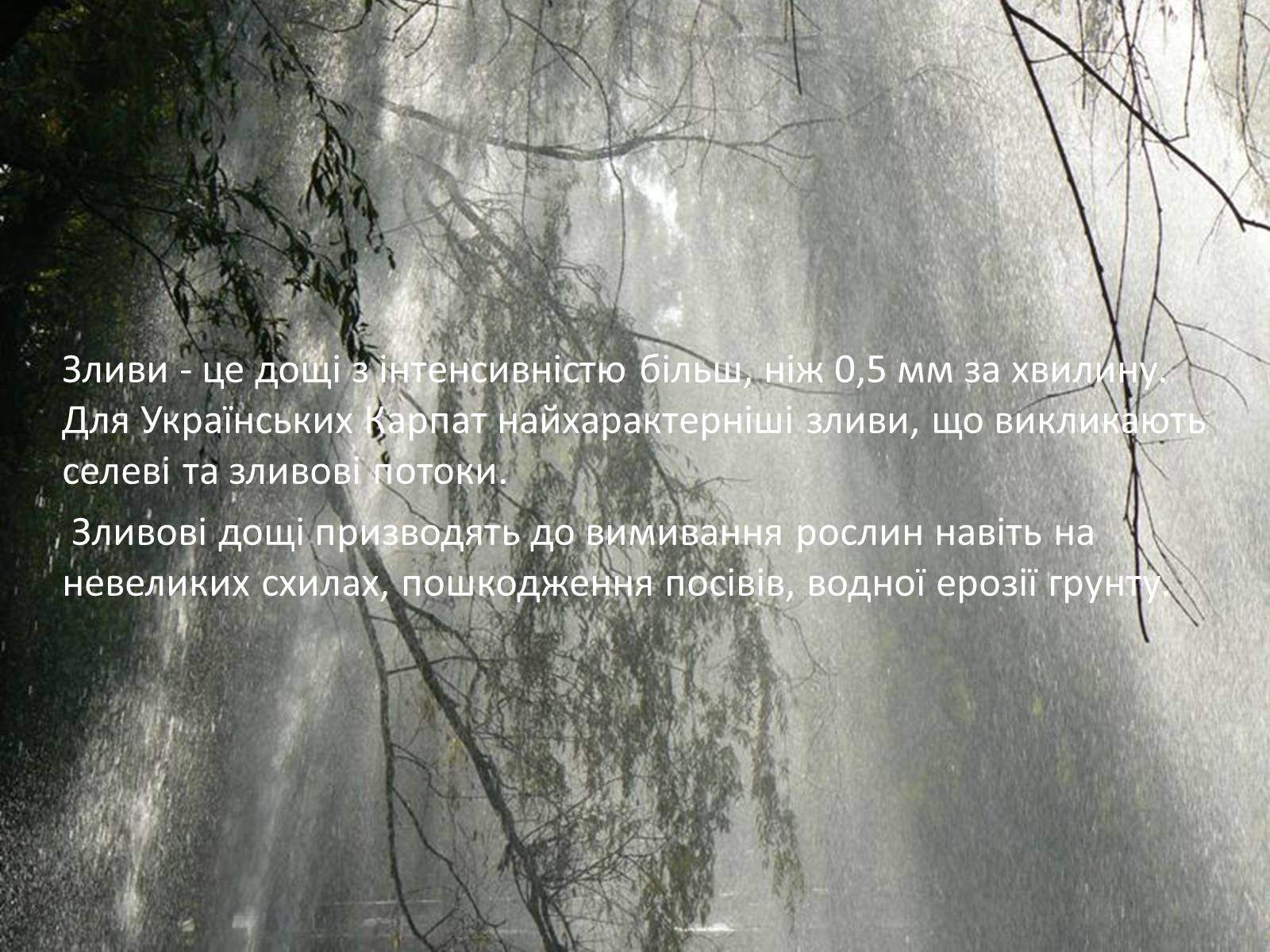 Презентація на тему «Вплив вологості повітря на живі організми» - Слайд #11 Презентація на тему «Вплив вологості повітря на живі організми» - Слайд #11