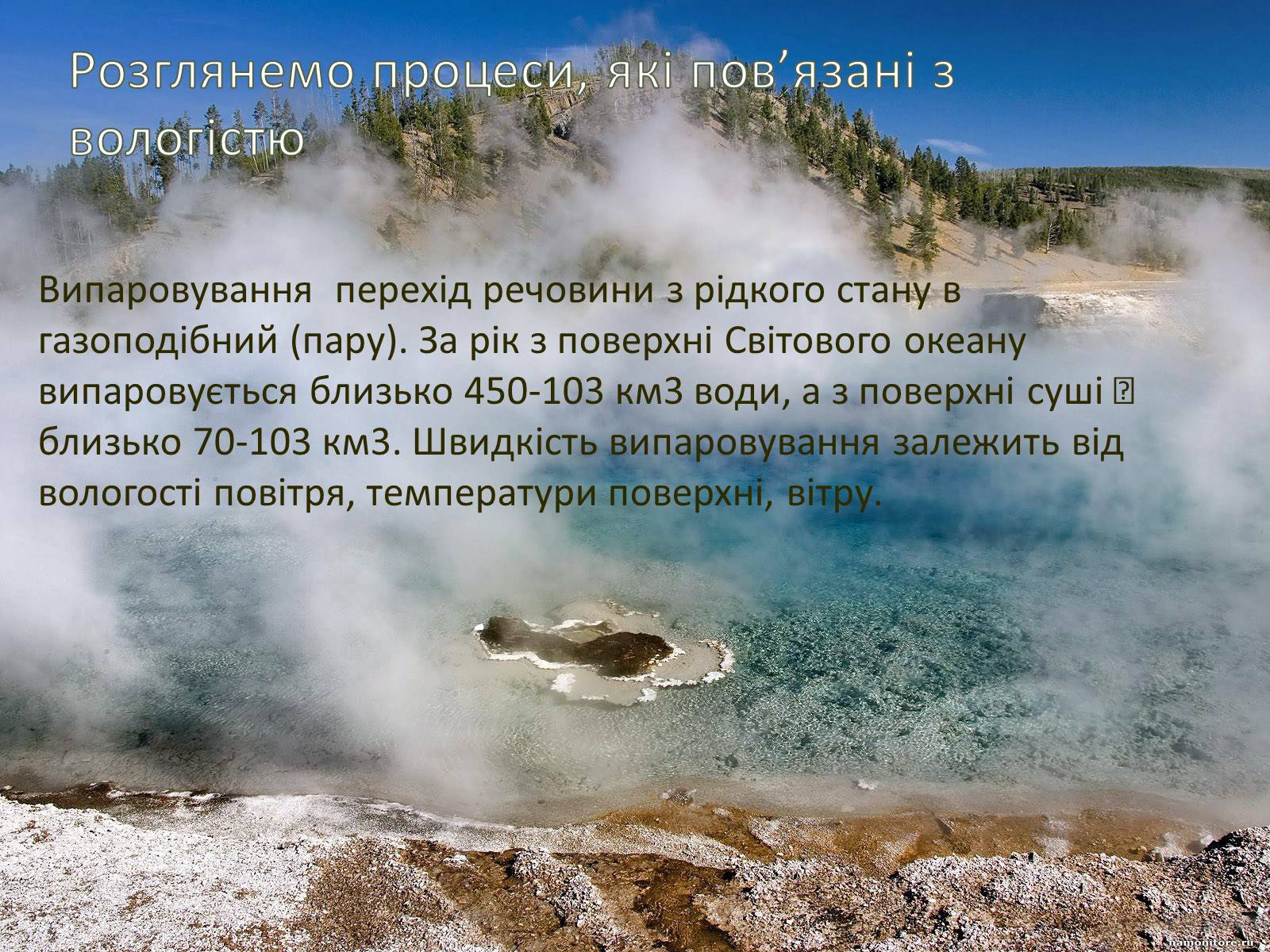 Презентація на тему «Вплив вологості повітря на живі організми» - Слайд #7 Презентація на тему «Вплив вологості повітря на живі організми» - Слайд #7