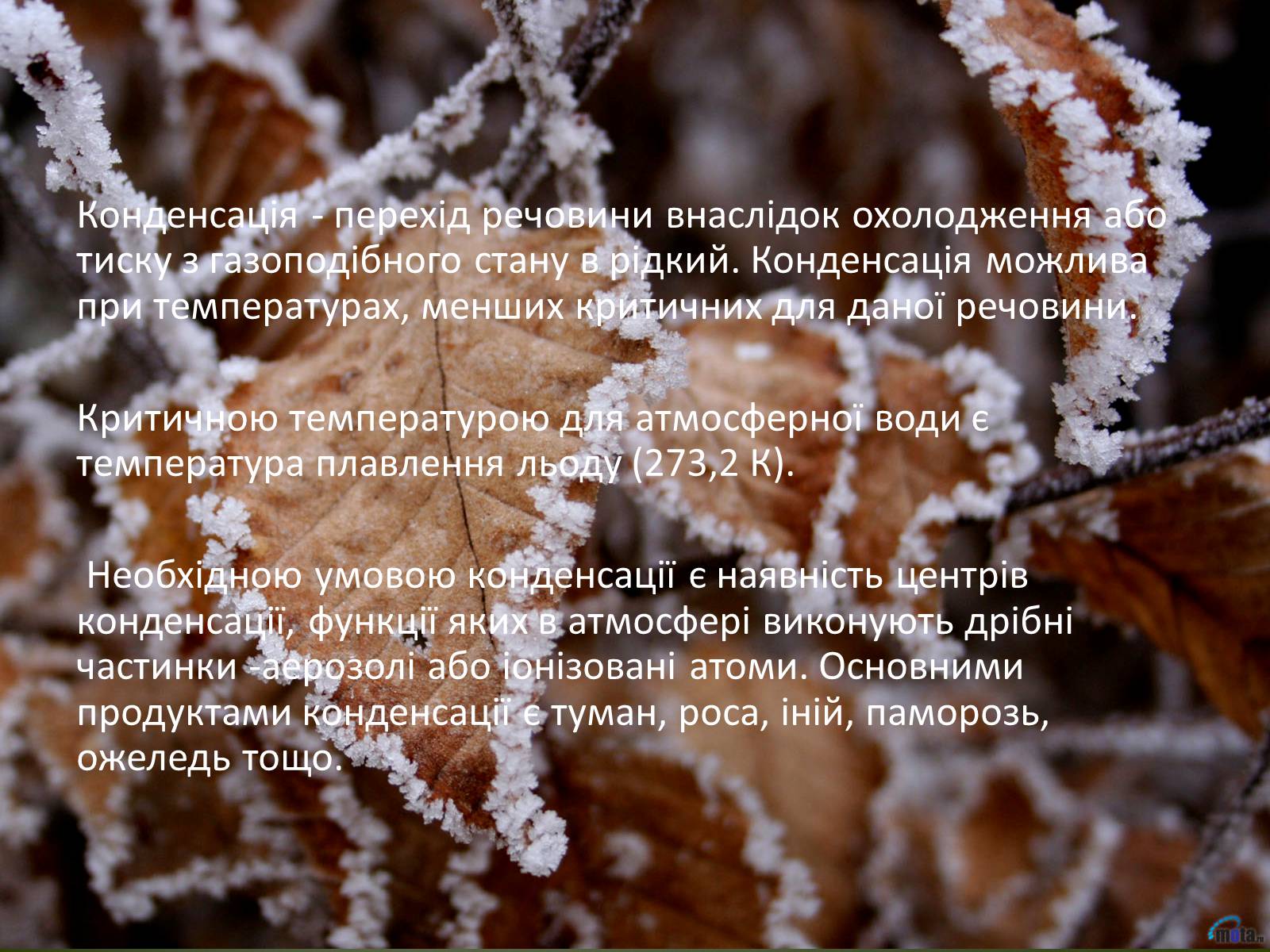 Презентація на тему «Вплив вологості повітря на живі організми» - Слайд #8 Презентація на тему «Вплив вологості повітря на живі організми» - Слайд #8