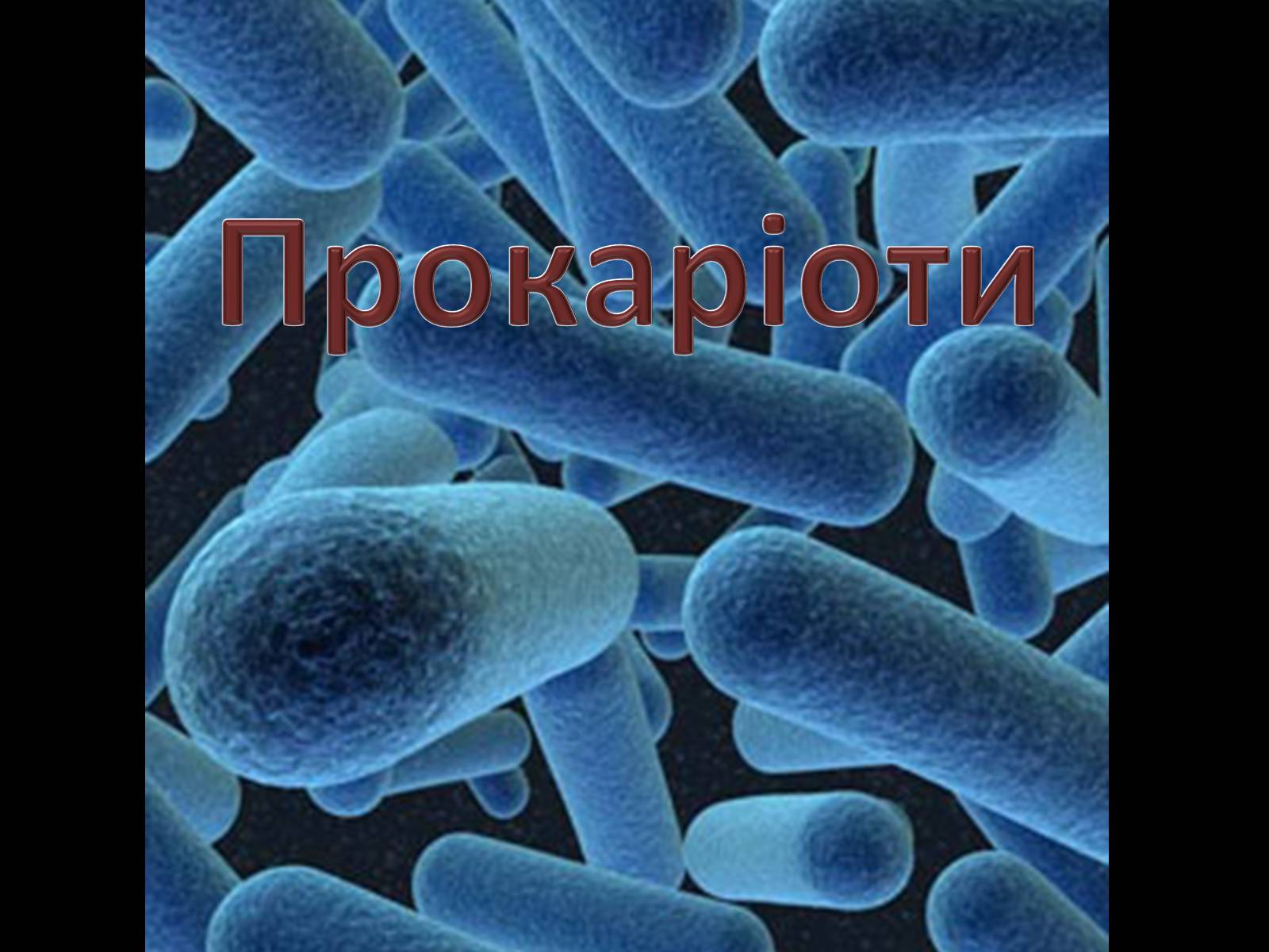 Презентація на тему «Прокаріоти» - Слайд #1 Презентація на тему «Прокаріоти» - Слайд #1