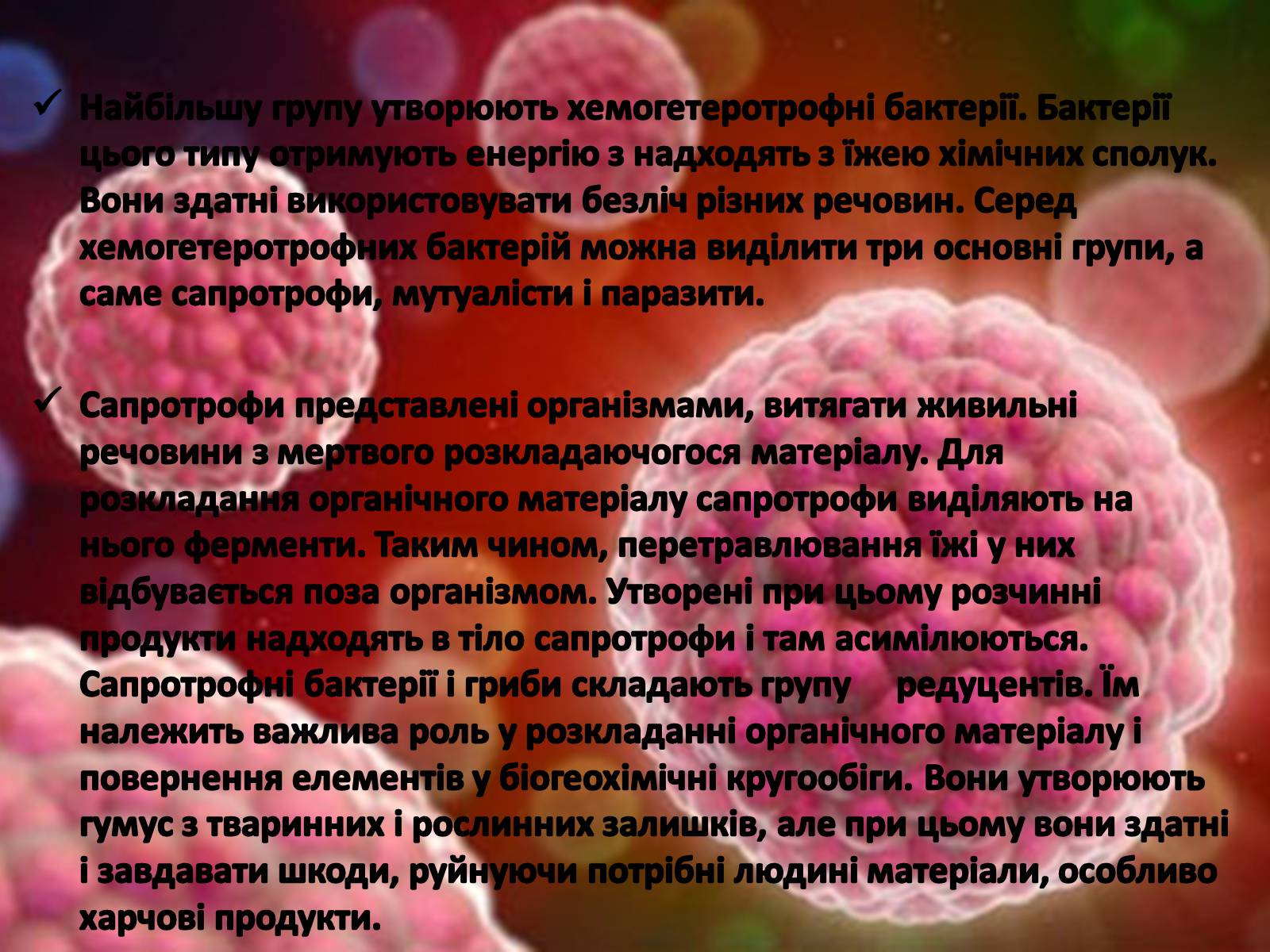 Презентація на тему «Прокаріоти» - Слайд #4 Презентація на тему «Прокаріоти» - Слайд #4