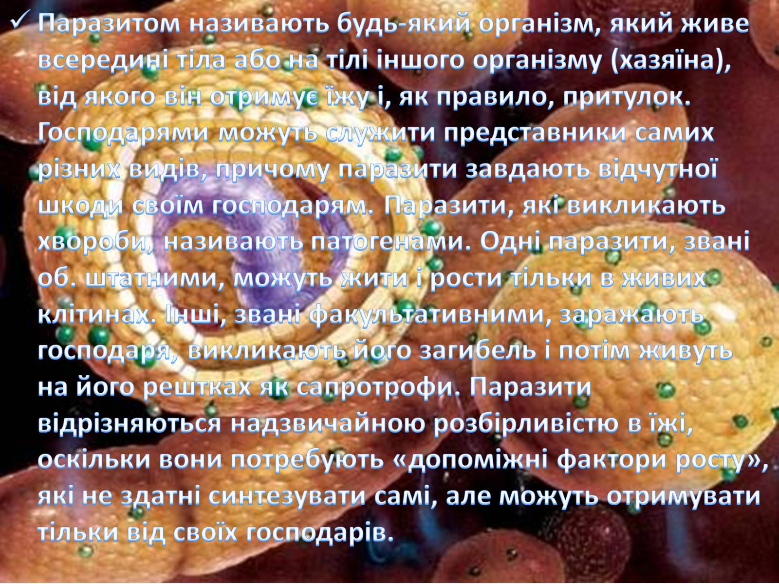 Презентація на тему «Прокаріоти» - Слайд #6 Презентація на тему «Прокаріоти» - Слайд #6
