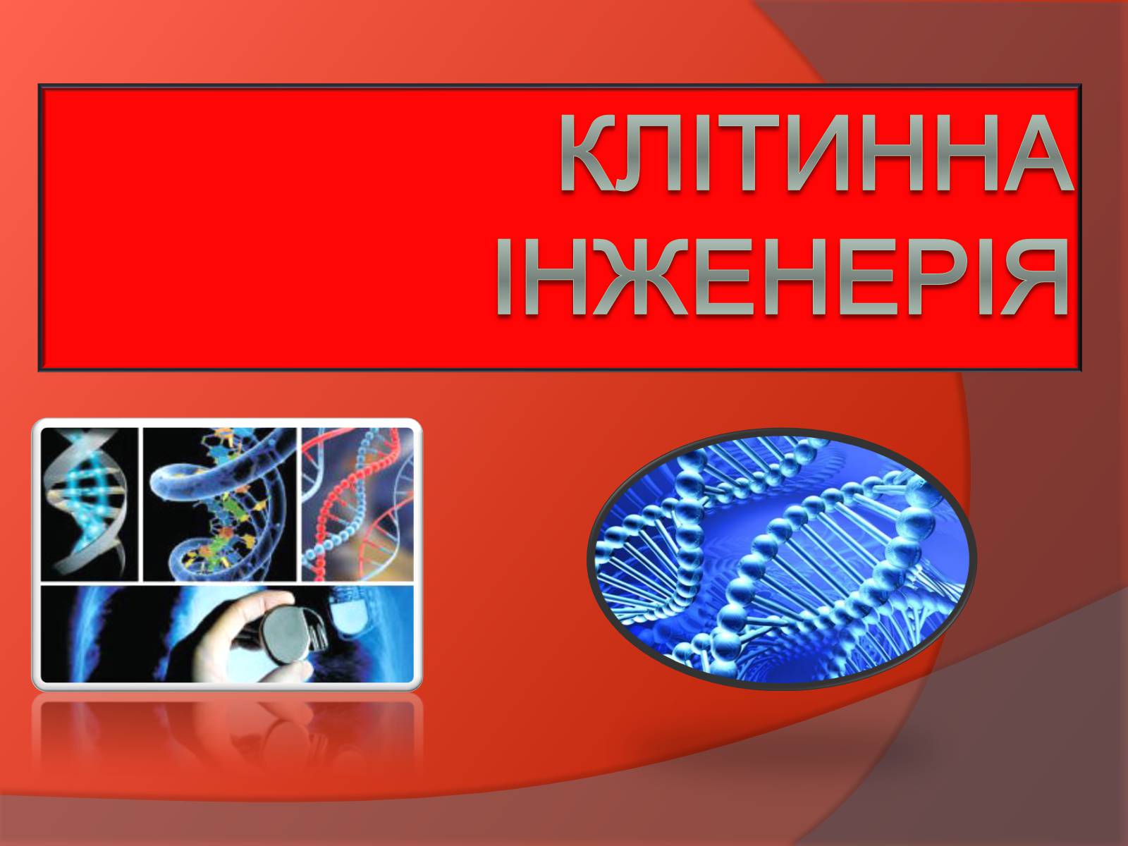 Презентація на тему «Клітинна інженерія» (варіант 3) - Слайд #1 Презентація на тему «Клітинна інженерія» (варіант 3) - Слайд #1