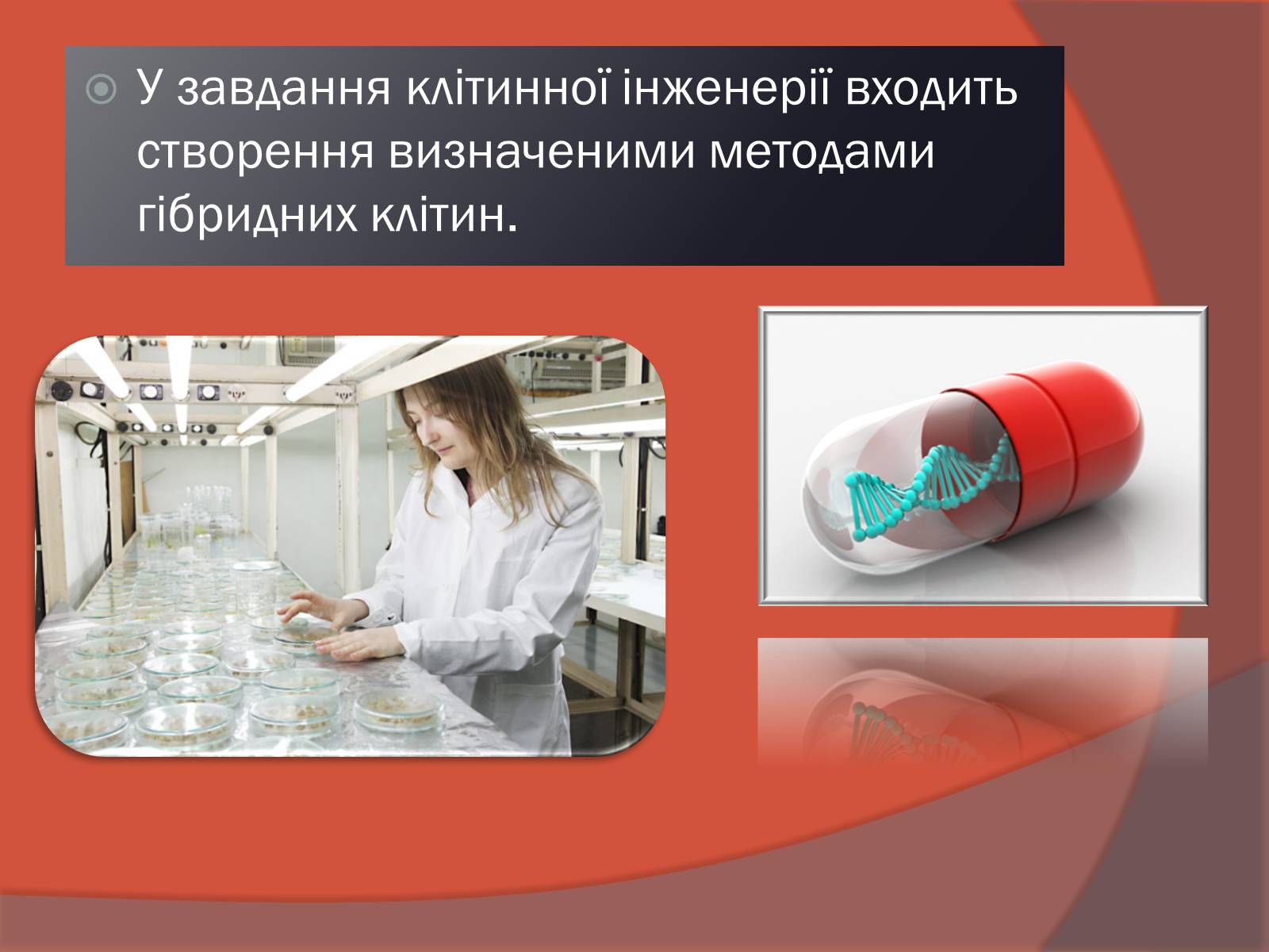 Презентація на тему «Клітинна інженерія» (варіант 3) - Слайд #4 Презентація на тему «Клітинна інженерія» (варіант 3) - Слайд #4