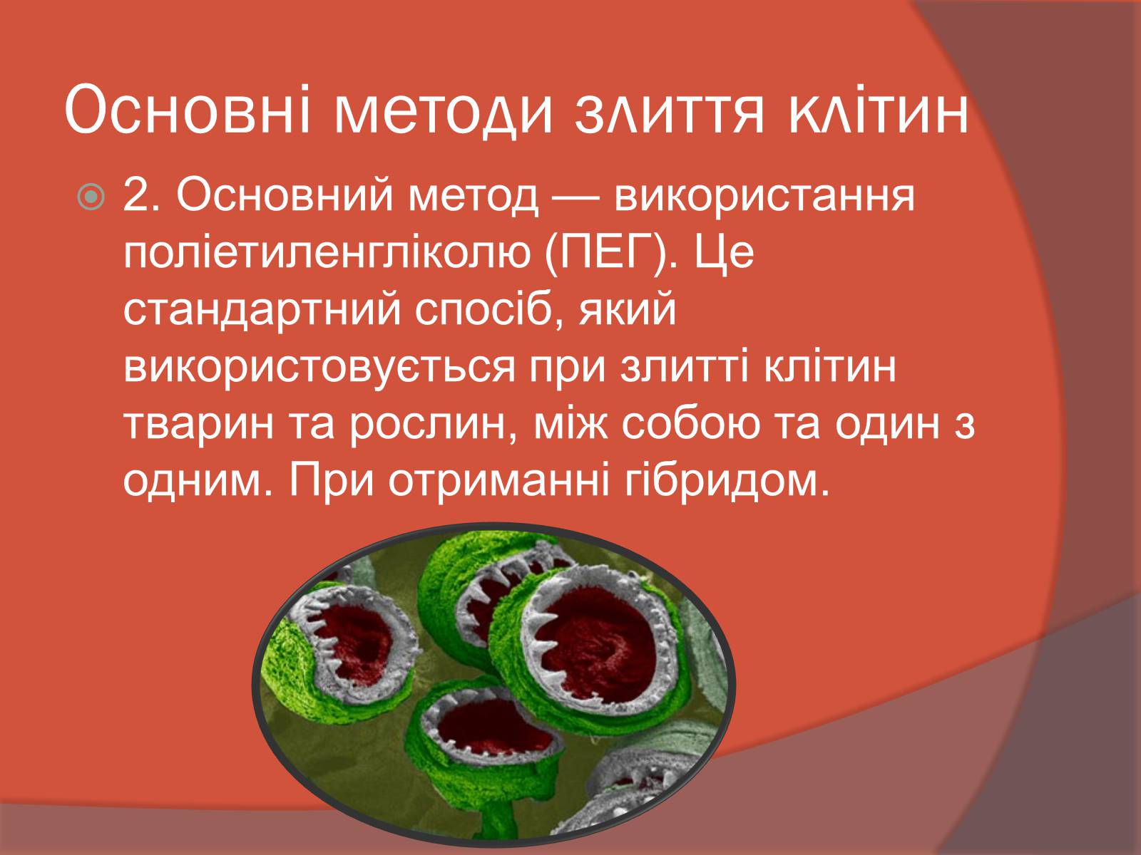 Презентація на тему «Клітинна інженерія» (варіант 3) - Слайд #8 Презентація на тему «Клітинна інженерія» (варіант 3) - Слайд #8
