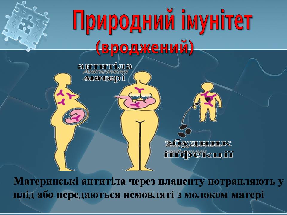 Презентація на тему «Імунітет» (варіант 4) - Слайд #19 Презентація на тему «Імунітет» (варіант 4) - Слайд #19