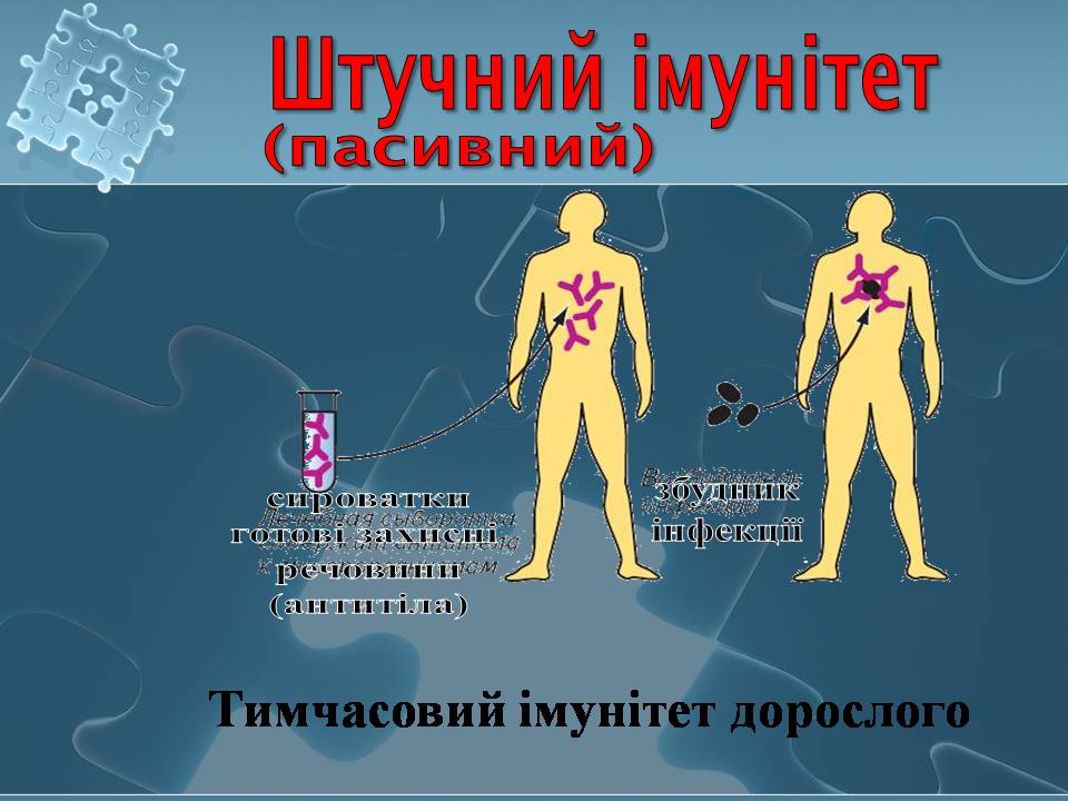 Презентація на тему «Імунітет» (варіант 4) - Слайд #20 Презентація на тему «Імунітет» (варіант 4) - Слайд #20
