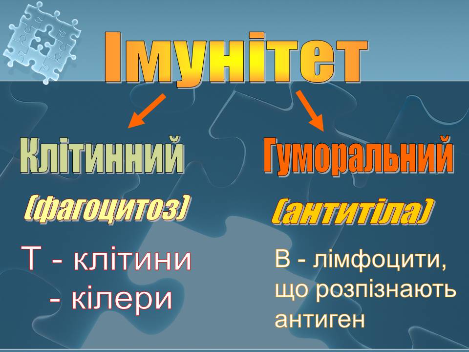 Презентація на тему «Імунітет» (варіант 4) - Слайд #7 Презентація на тему «Імунітет» (варіант 4) - Слайд #7