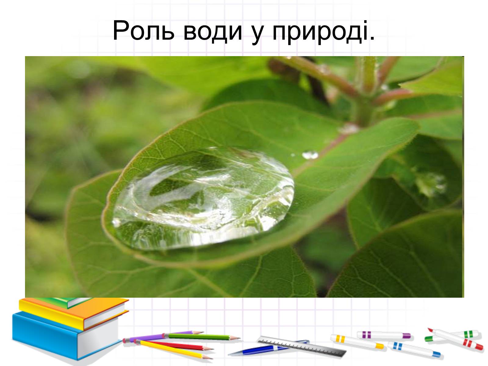 Презентація на тему «Роль води у природі» - Слайд #3 Презентація на тему «Роль води у природі» - Слайд #3