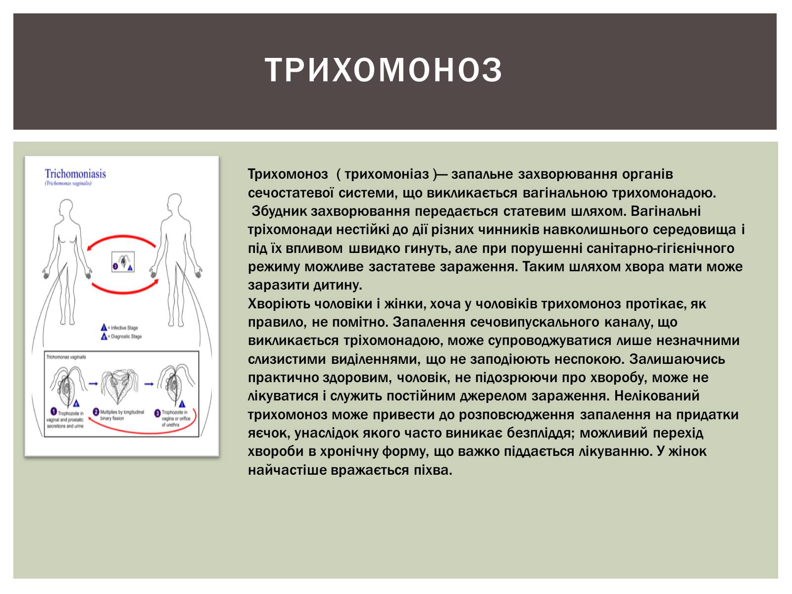 Презентація на тему «Захворювання статевих органів та їх запобігання» - Слайд #8 Презентація на тему «Захворювання статевих органів та їх запобігання» - Слайд #8