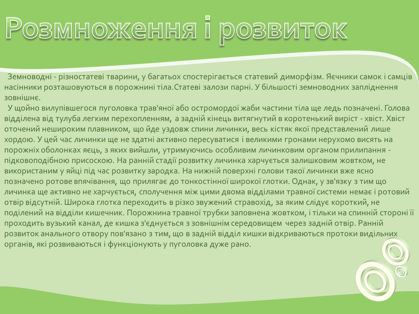 Презентація на тему «Земноводні або Амфібії» - Слайд #14 Презентація на тему «Земноводні або Амфібії» - Слайд #14