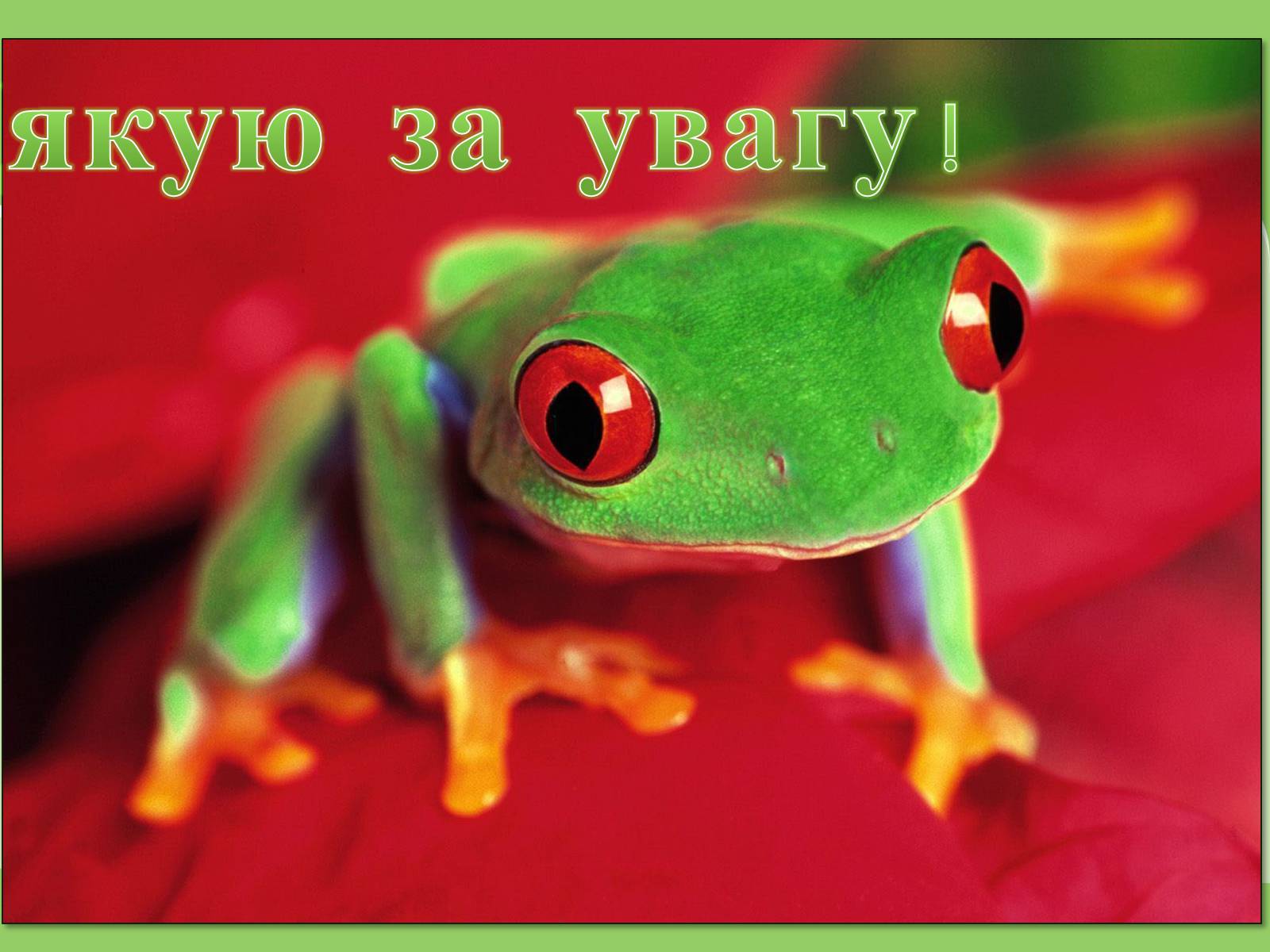 Презентація на тему «Земноводні або Амфібії» - Слайд #18 Презентація на тему «Земноводні або Амфібії» - Слайд #18