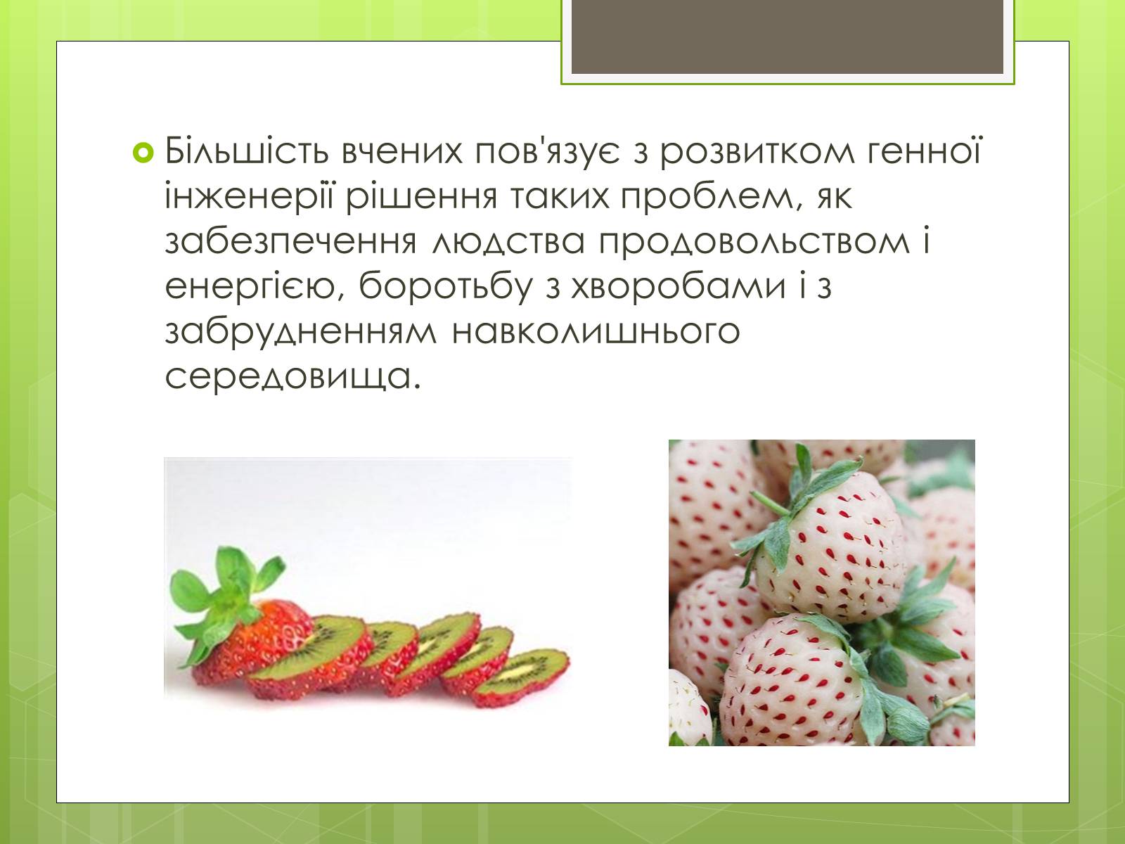 Презентація на тему «Генна інженерія» (варіант 7) - Слайд #19 Презентація на тему «Генна інженерія» (варіант 7) - Слайд #19