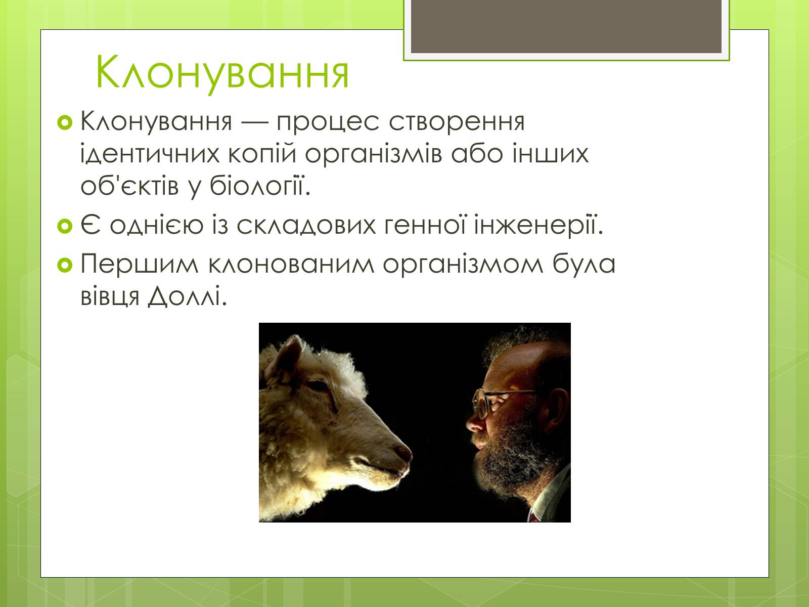 Презентація на тему «Генна інженерія» (варіант 7) - Слайд #6 Презентація на тему «Генна інженерія» (варіант 7) - Слайд #6