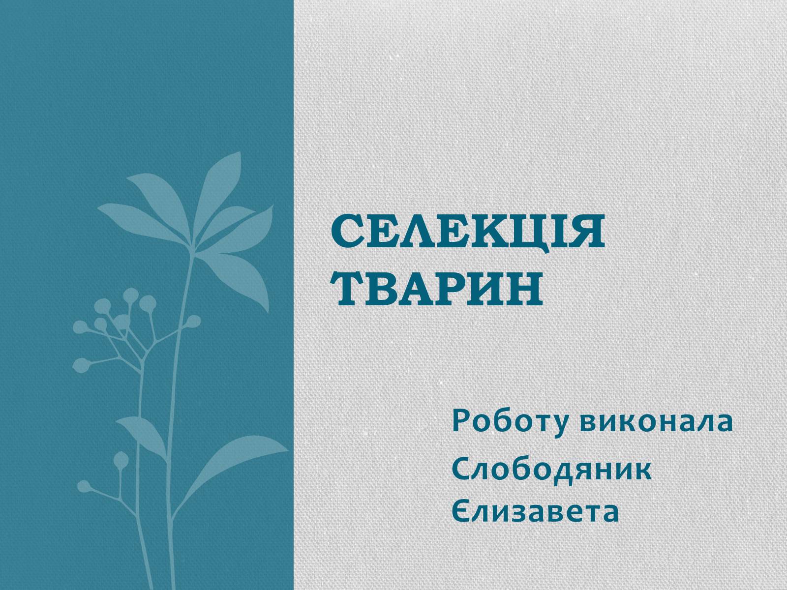 Презентація на тему «Селекція тварин» (варіант 2) - Слайд #1 Презентація на тему «Селекція тварин» (варіант 2) - Слайд #1