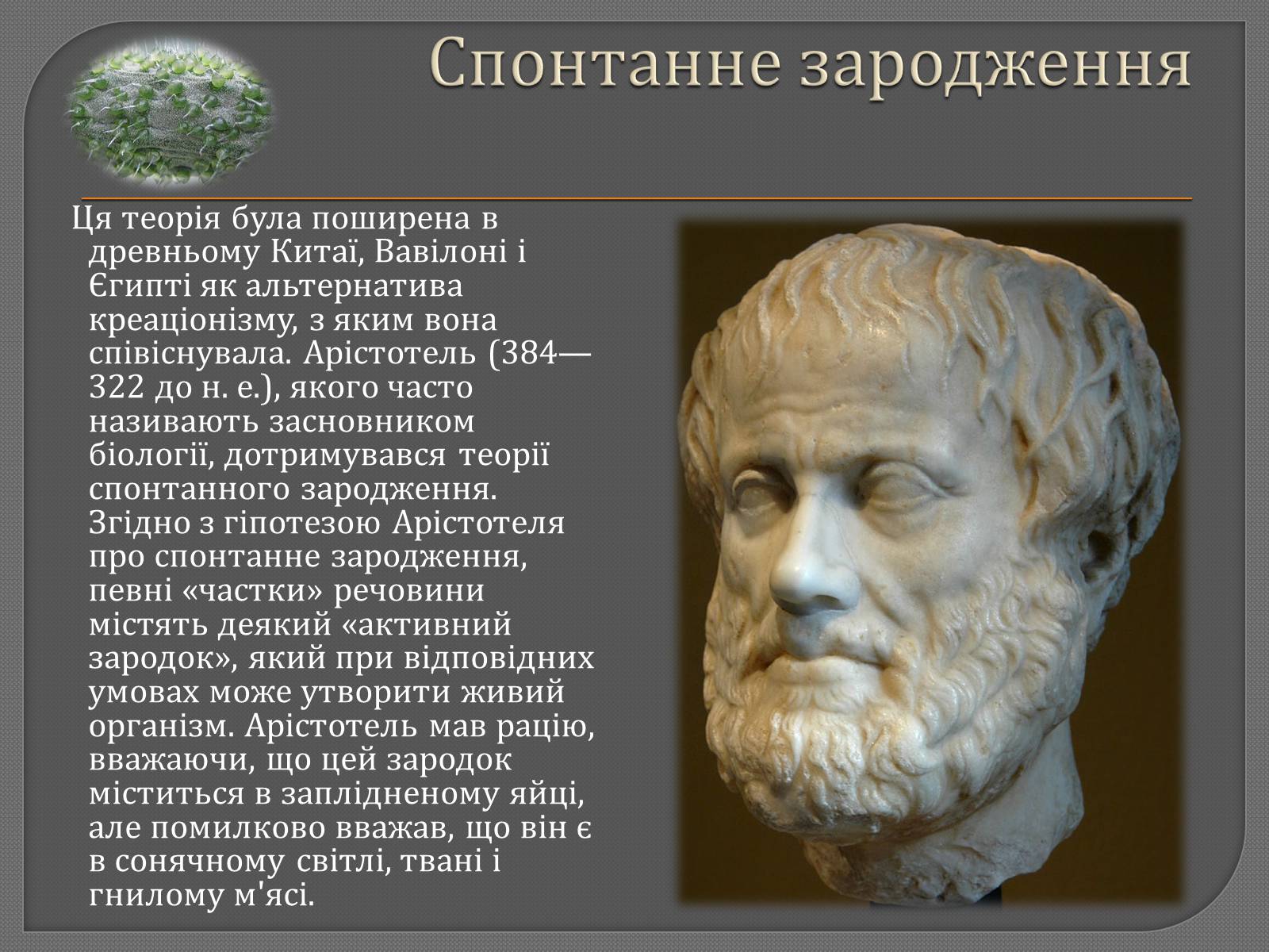 Презентація на тему «Теорії походження життя» - Слайд #5 Презентація на тему «Теорії походження життя» - Слайд #5