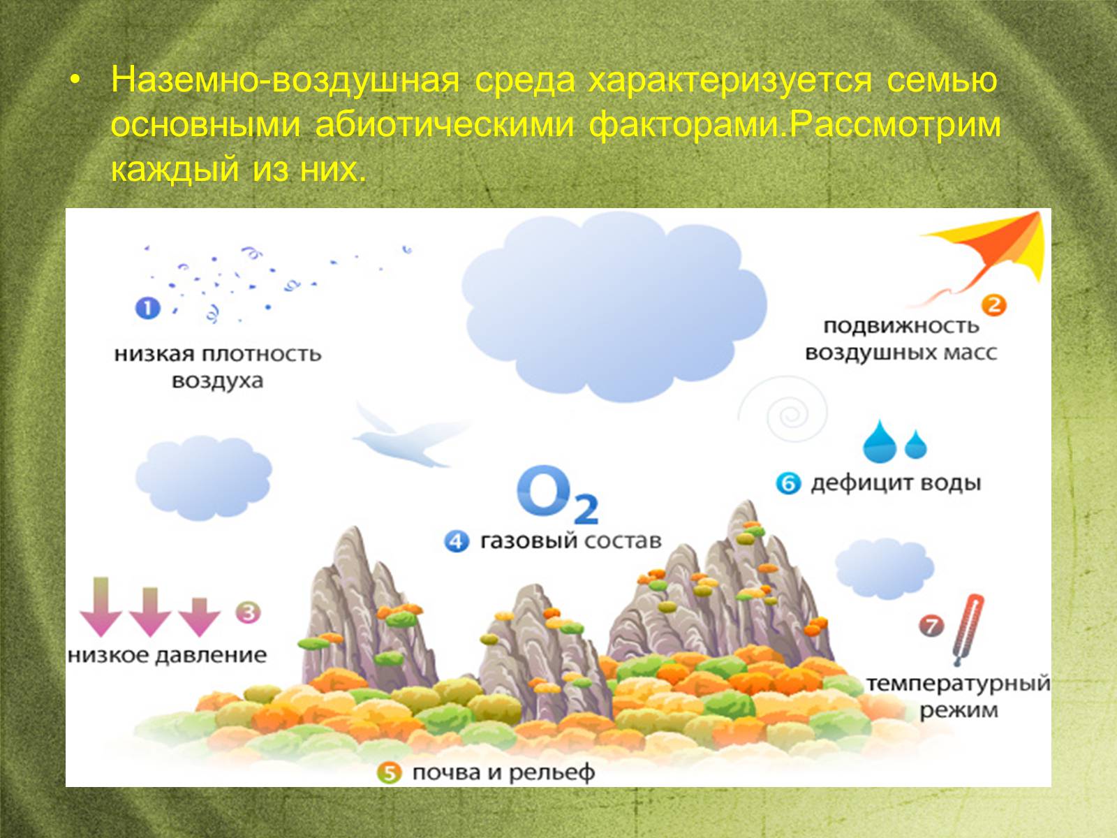 Презентація на тему «Наземно-воздушная среда обитания» - Слайд #3 Презентація на тему «Наземно-воздушная среда обитания» - Слайд #3