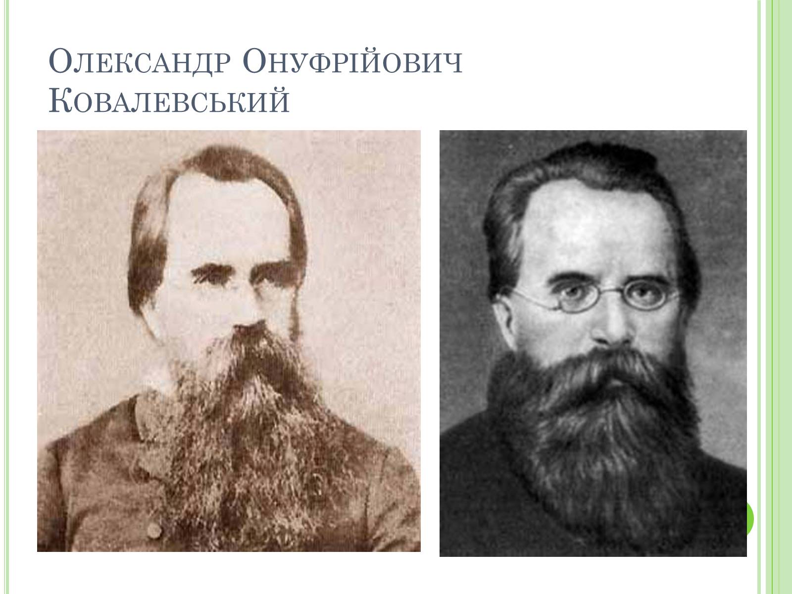 Презентація на тему «Видатні вчені-біологи України» - Слайд #13 Презентація на тему «Видатні вчені-біологи України» - Слайд #13