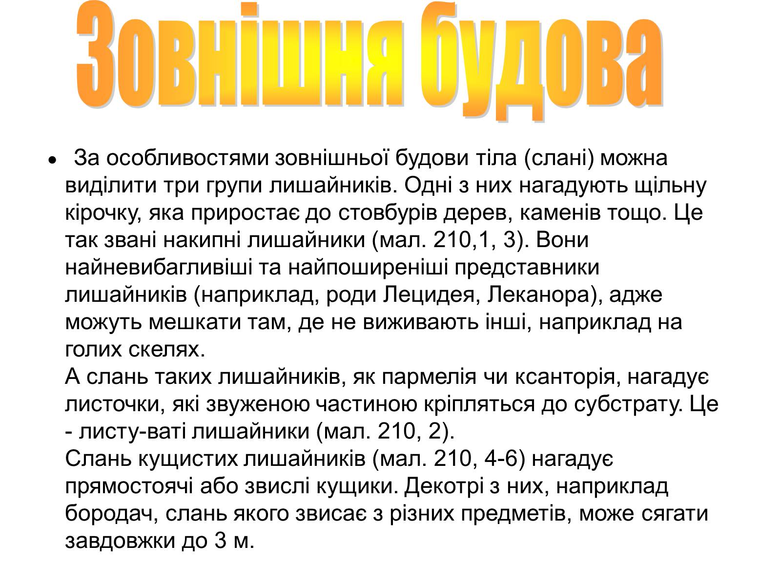 Презентація на тему «Лишайники» - Слайд #4 Презентація на тему «Лишайники» - Слайд #4