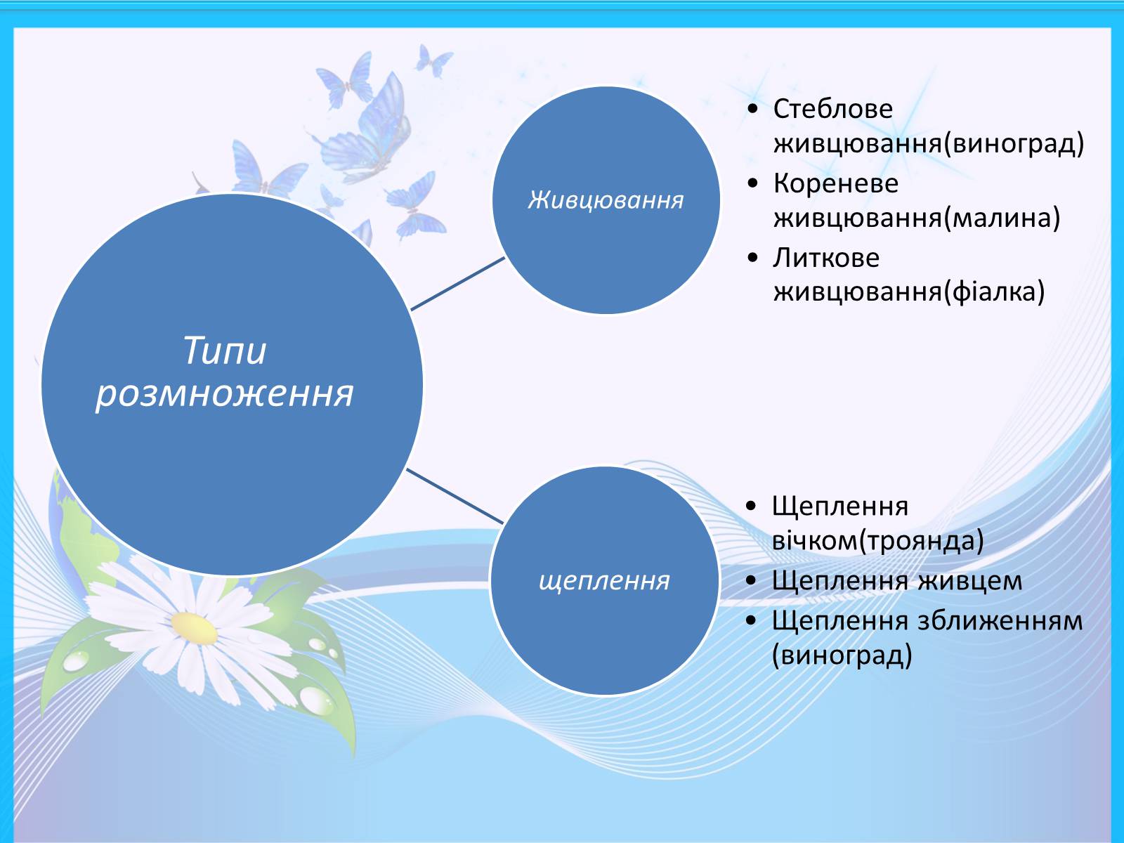 Презентація на тему «Способи розмноження рослин» - Слайд #7 Презентація на тему «Способи розмноження рослин» - Слайд #7