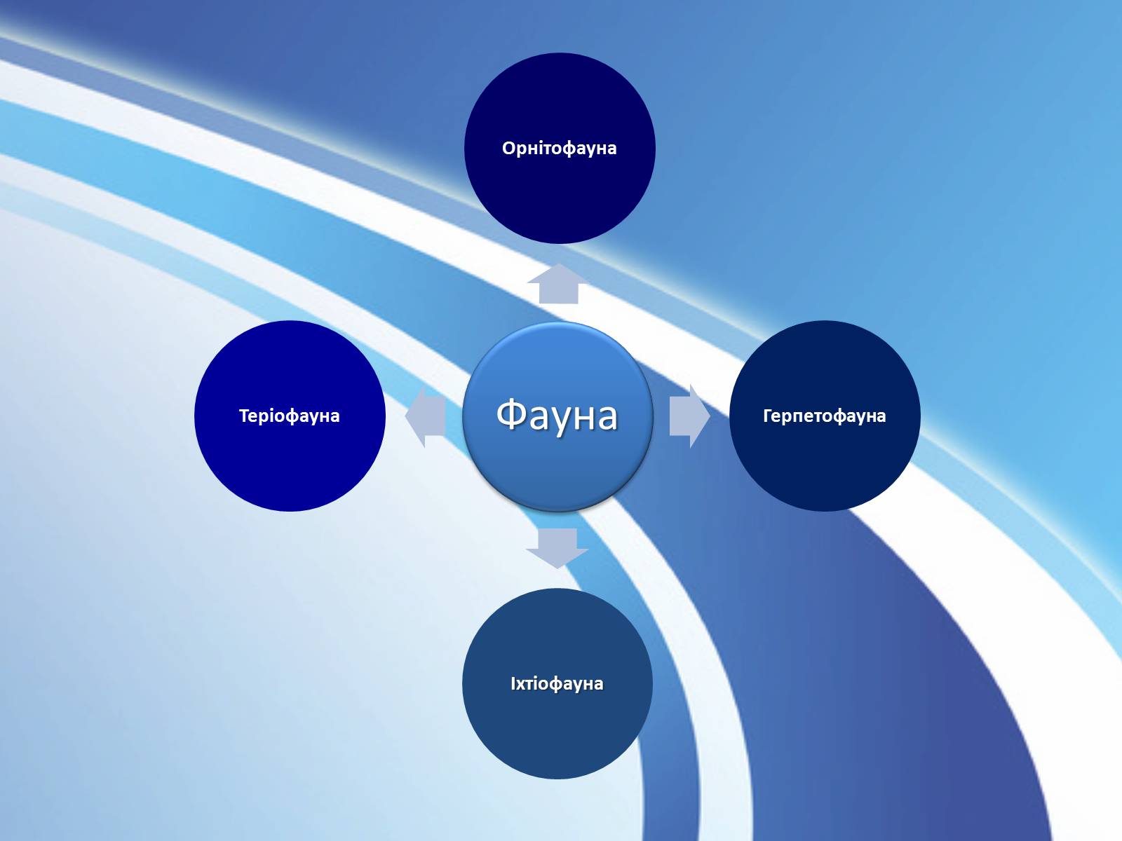 Презентація на тему «Тварини України» - Слайд #3 Презентація на тему «Тварини України» - Слайд #3