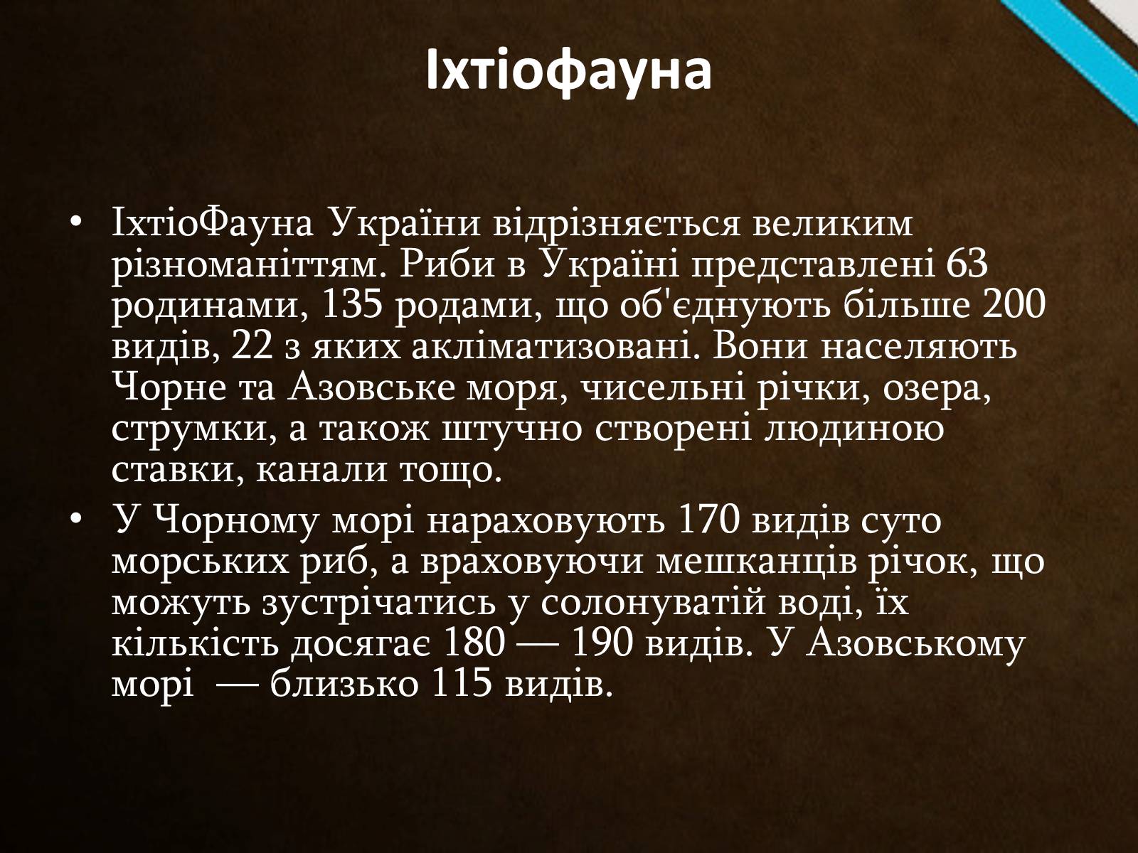 Презентація на тему «Тварини України» - Слайд #4 Презентація на тему «Тварини України» - Слайд #4