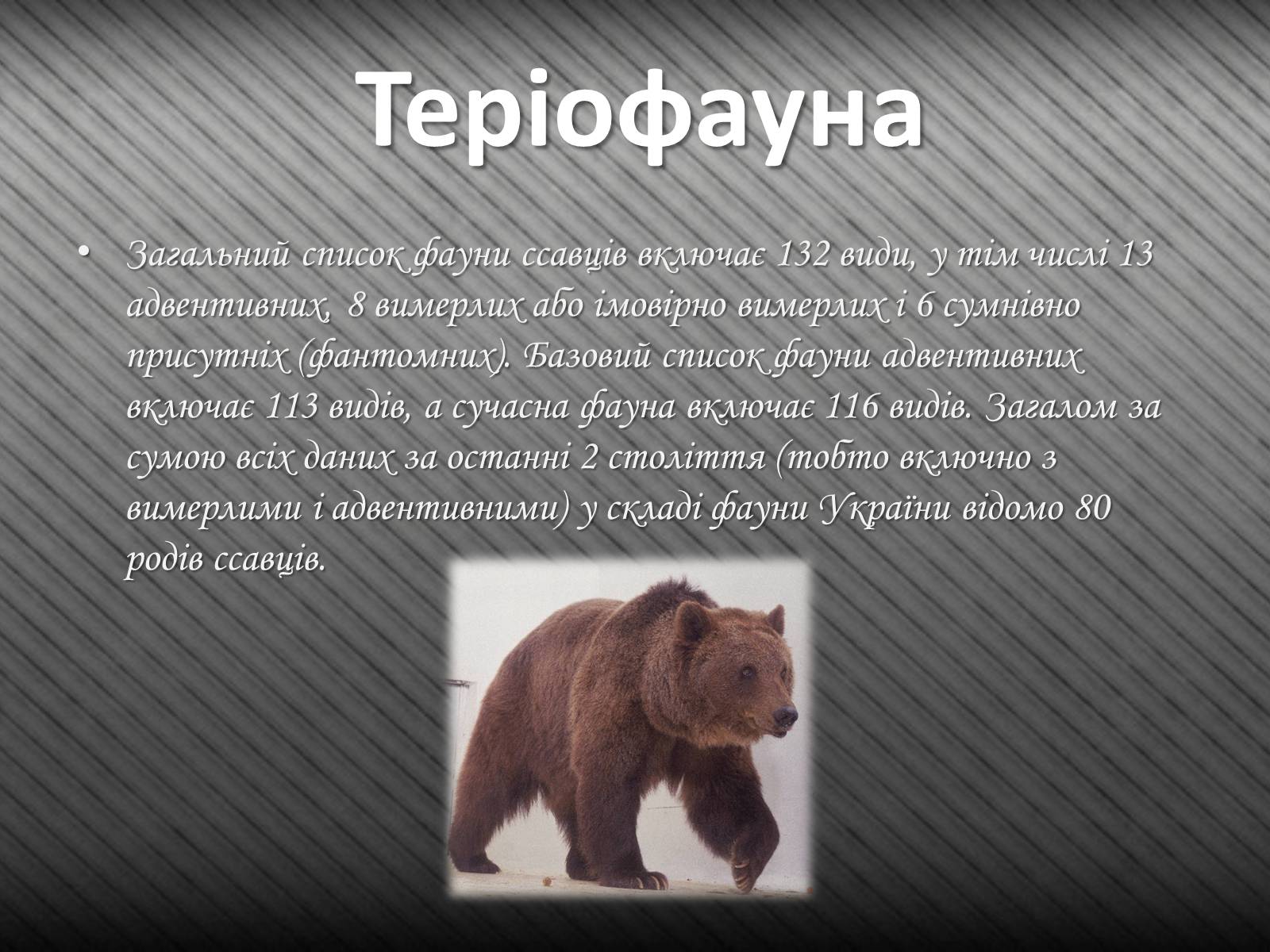 Презентація на тему «Тварини України» - Слайд #7 Презентація на тему «Тварини України» - Слайд #7