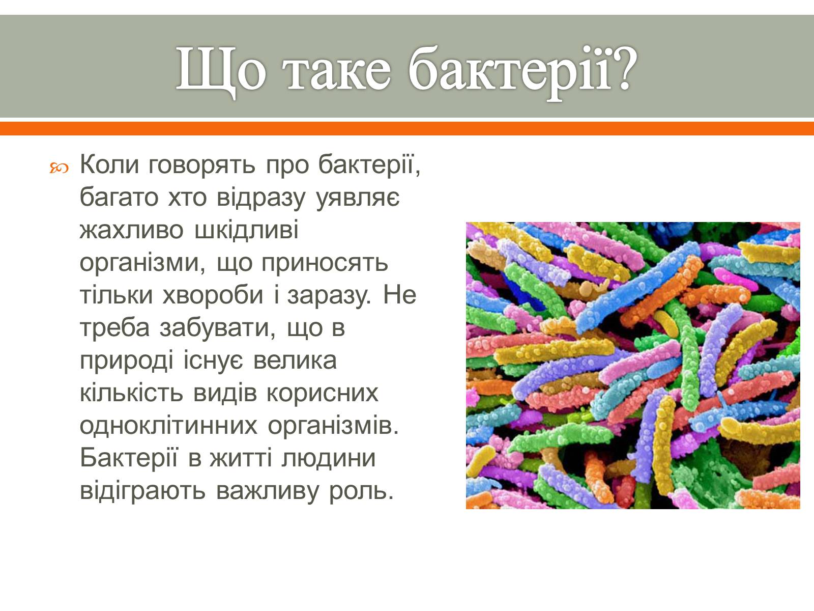 Презентація на тему «Бактерії в житті людини» - Слайд #2 Презентація на тему «Бактерії в житті людини» - Слайд #2