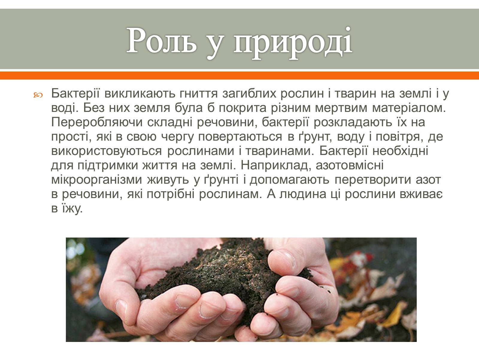 Презентація на тему «Бактерії в житті людини» - Слайд #6 Презентація на тему «Бактерії в житті людини» - Слайд #6