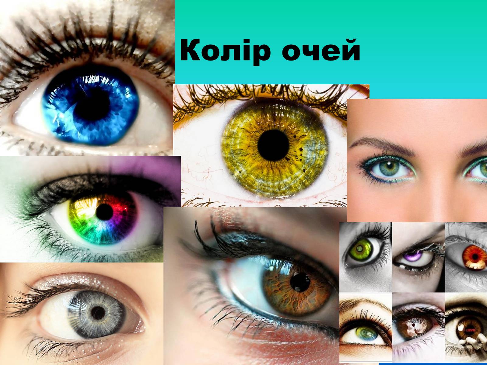 Презентація на тему «Око» (варіант 3) - Слайд #7 Презентація на тему «Око» (варіант 3) - Слайд #7