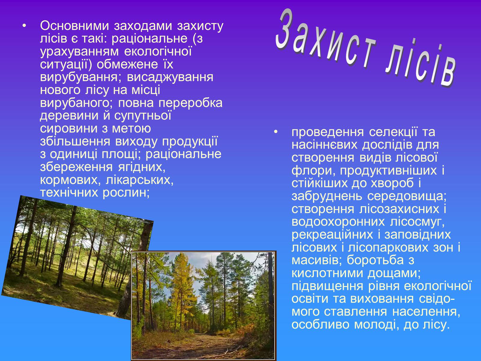 Презентація на тему «Охорона рослинного світу» - Слайд #7 Презентація на тему «Охорона рослинного світу» - Слайд #7