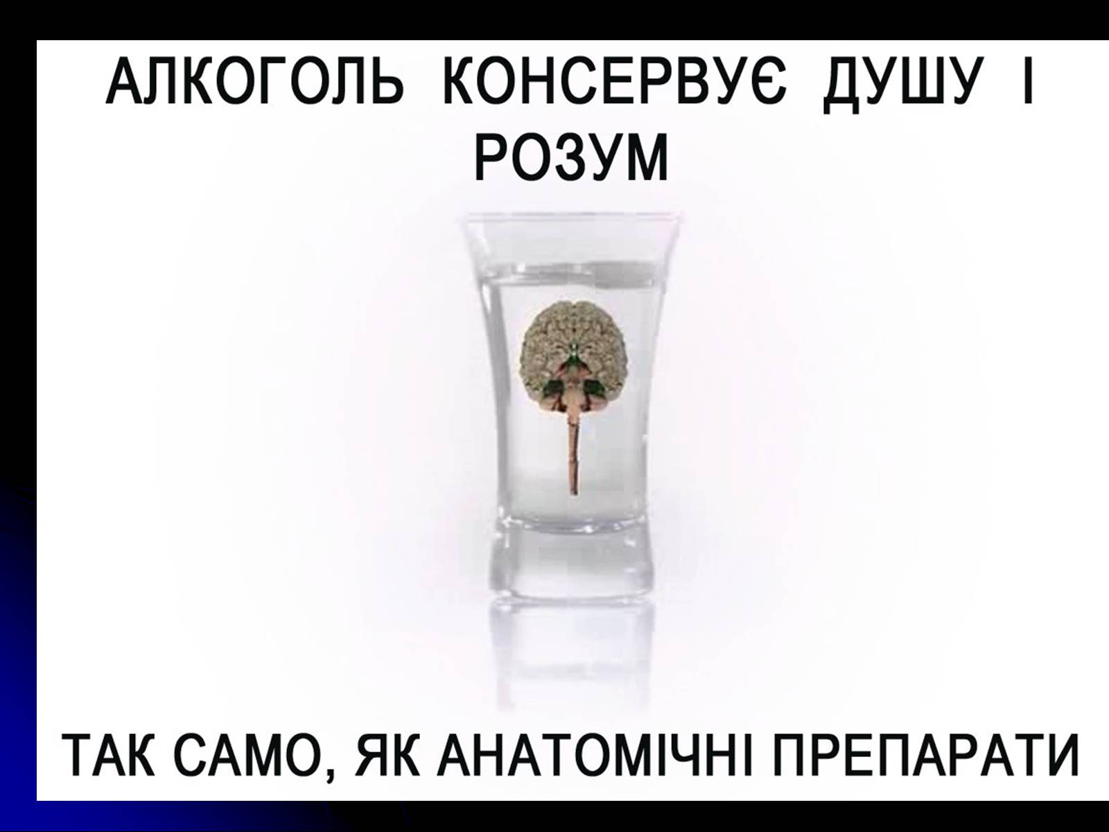 Презентація на тему «Алкоголь і алкоголізм» - Слайд #8 Презентація на тему «Алкоголь і алкоголізм» - Слайд #8