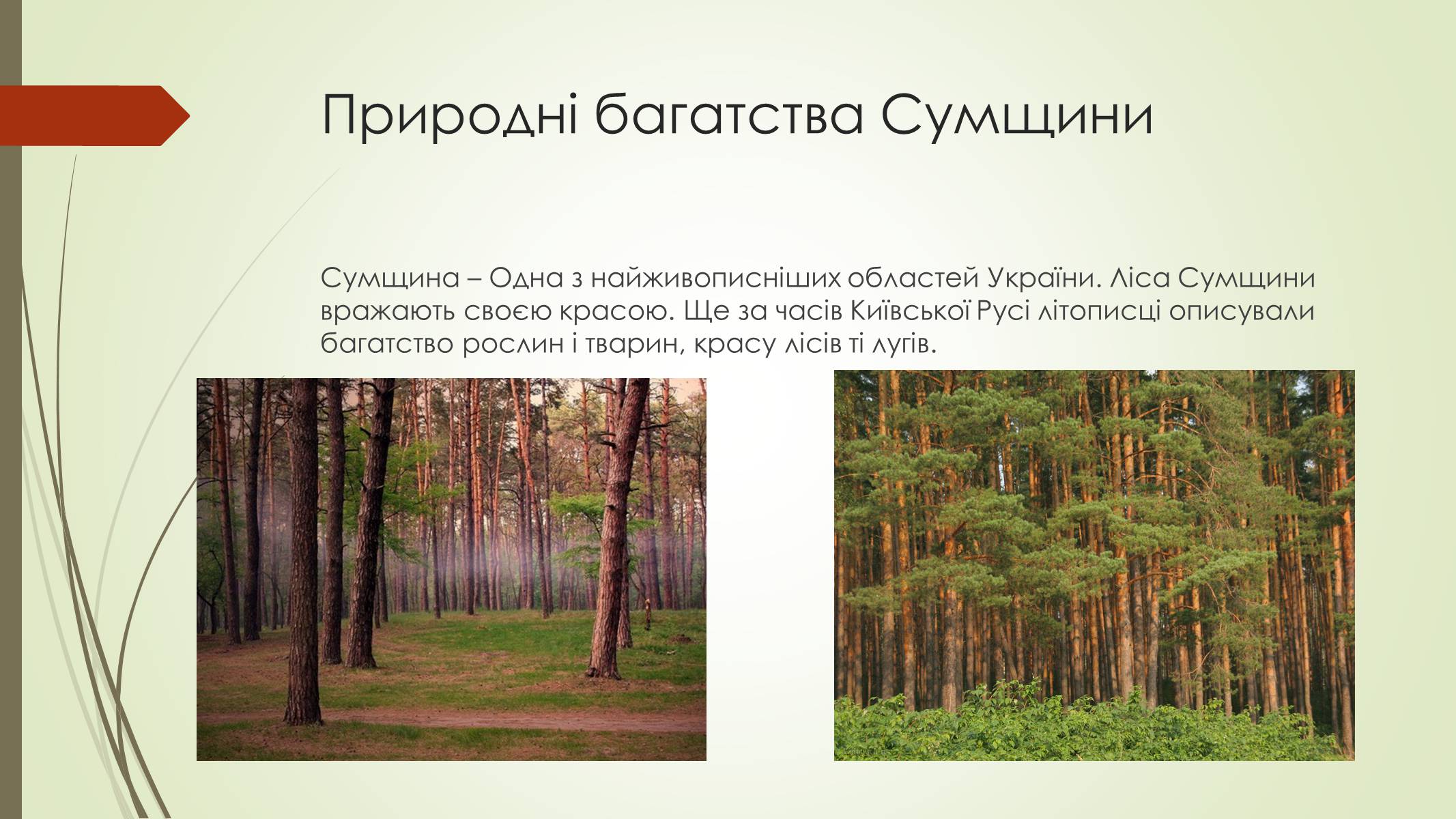 Презентація на тему «Рослини і тварини Сумщини занесені до Червоної книги України» - Слайд #2 Презентація на тему «Рослини і тварини Сумщини занесені до Червоної книги України» - Слайд #2