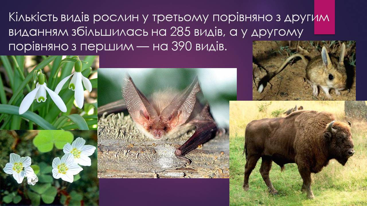 Презентація на тему «Червона книга України» (варіант 16) - Слайд #8 Презентація на тему «Червона книга України» (варіант 16) - Слайд #8