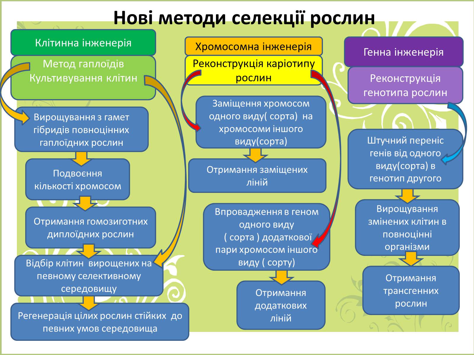 Презентація на тему «Селекція» (варіант 5) - Слайд #44 Презентація на тему «Селекція» (варіант 5) - Слайд #44