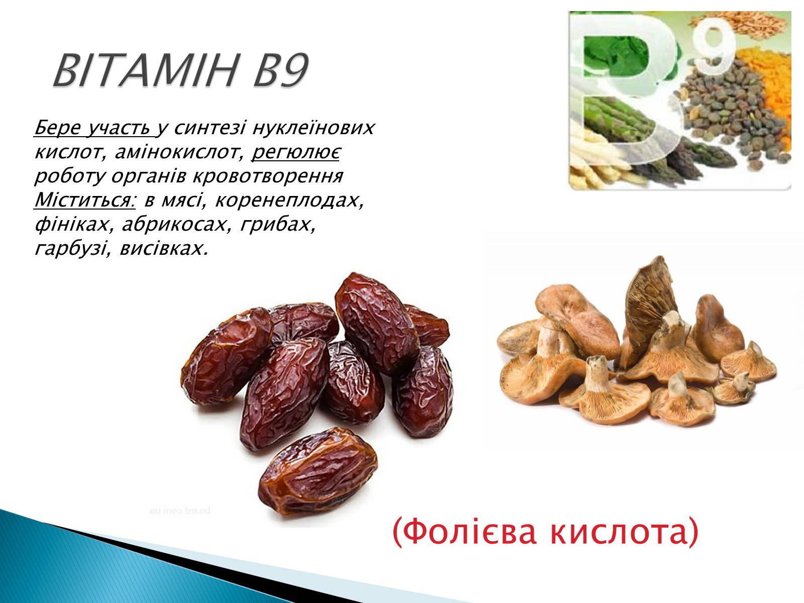 Презентація на тему «Вітаміни» (варіант 10) - Слайд #10 Презентація на тему «Вітаміни» (варіант 10) - Слайд #10