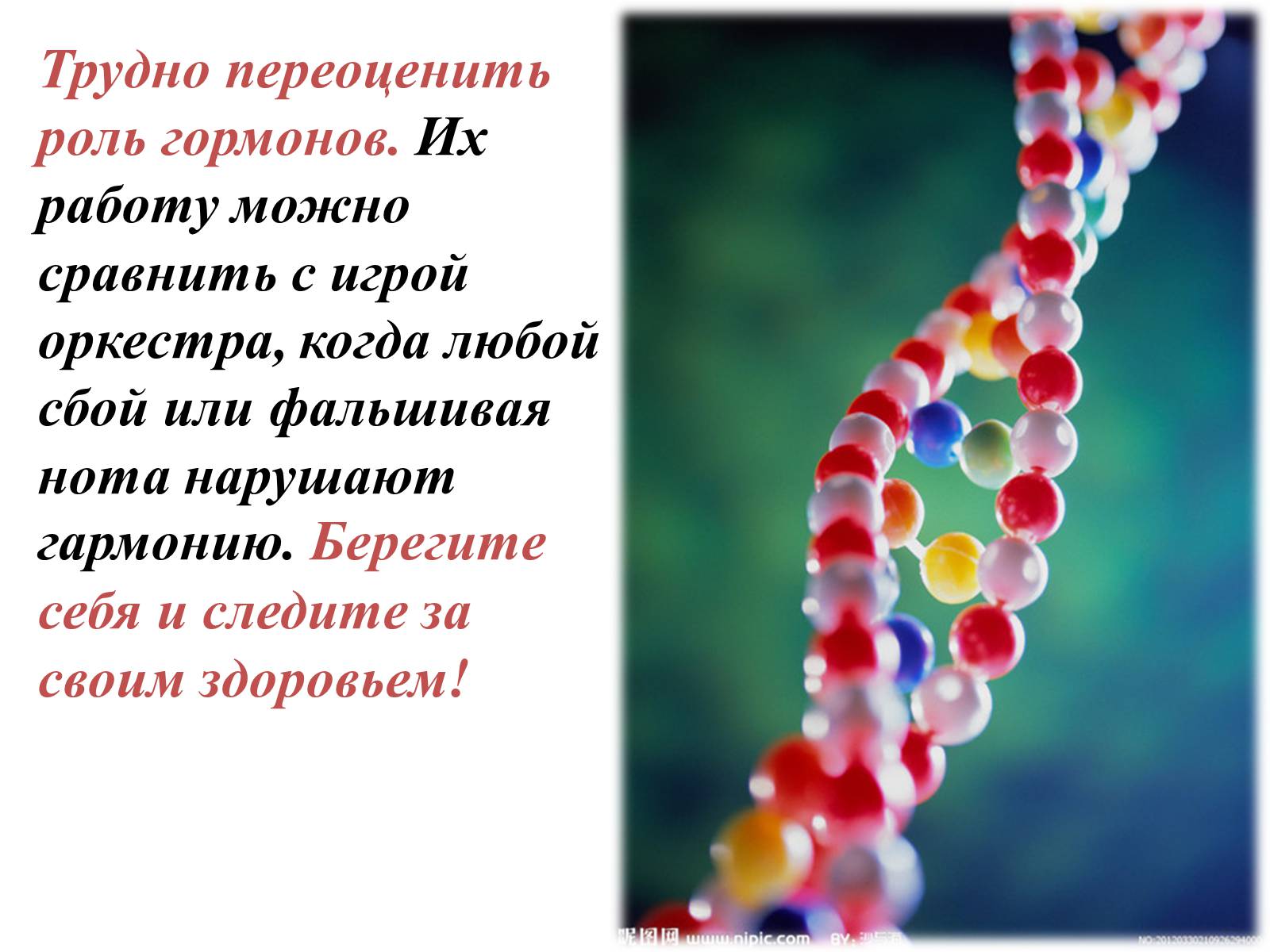 Презентація на тему «Гормоны» (варіант 1) - Слайд #23 Презентація на тему «Гормоны» (варіант 1) - Слайд #23