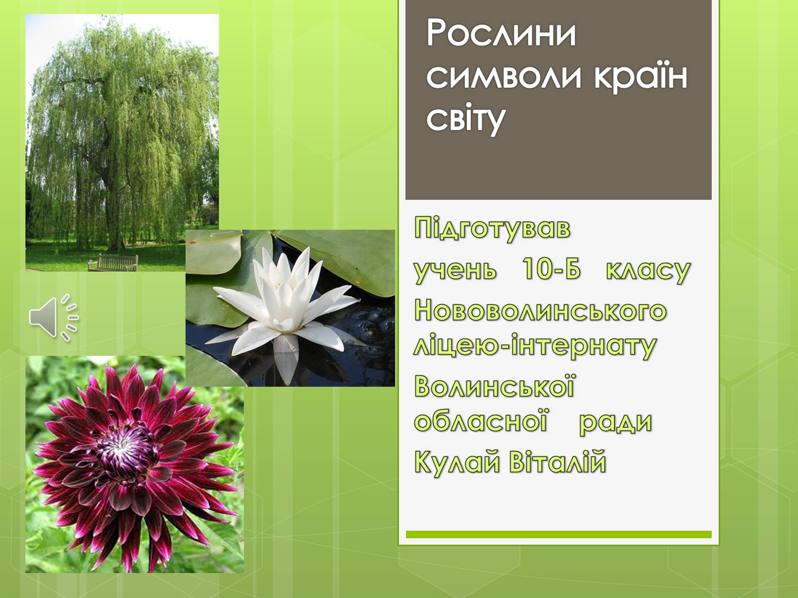 Презентація на тему «Рослини символи країн світу» - Слайд #1 Презентація на тему «Рослини символи країн світу» - Слайд #1