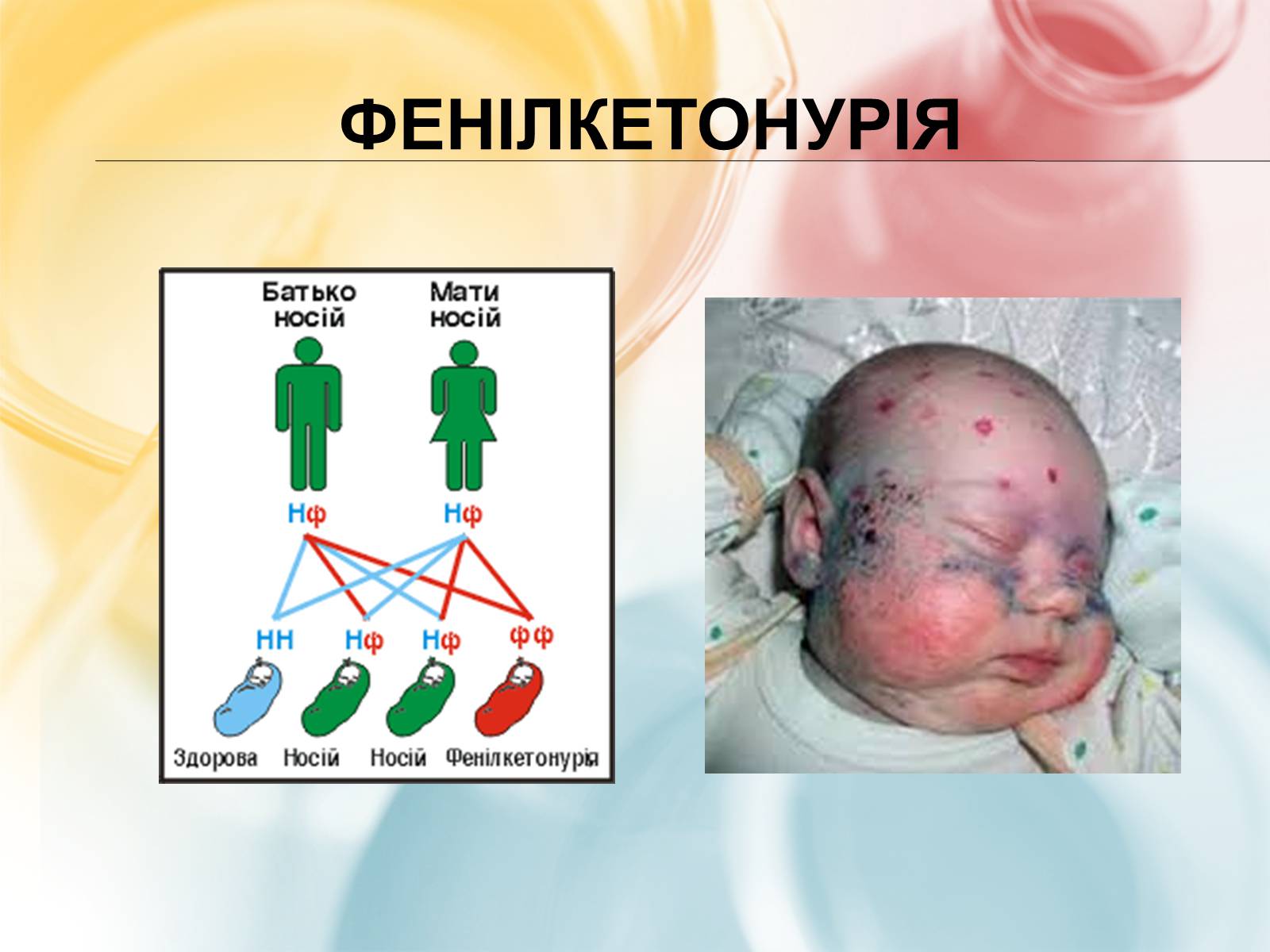 Презентація на тему «Хромосомна теорія спадковості» (варіант 3) - Слайд #16 Презентація на тему «Хромосомна теорія спадковості» (варіант 3) - Слайд #16