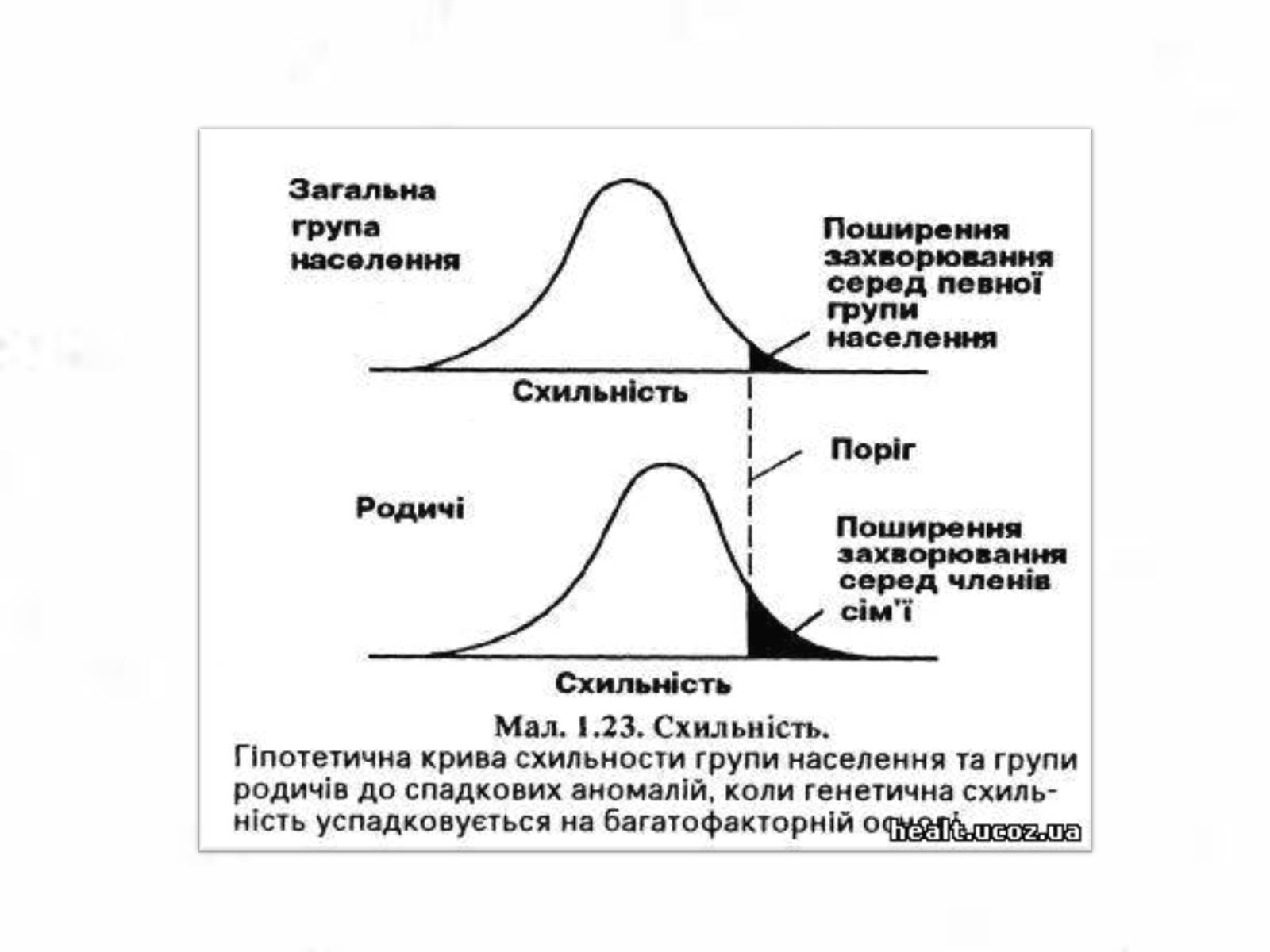 Презентація на тему «Хромосомна теорія спадковості» (варіант 3) - Слайд #6 Презентація на тему «Хромосомна теорія спадковості» (варіант 3) - Слайд #6
